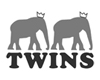 Twins for Peace