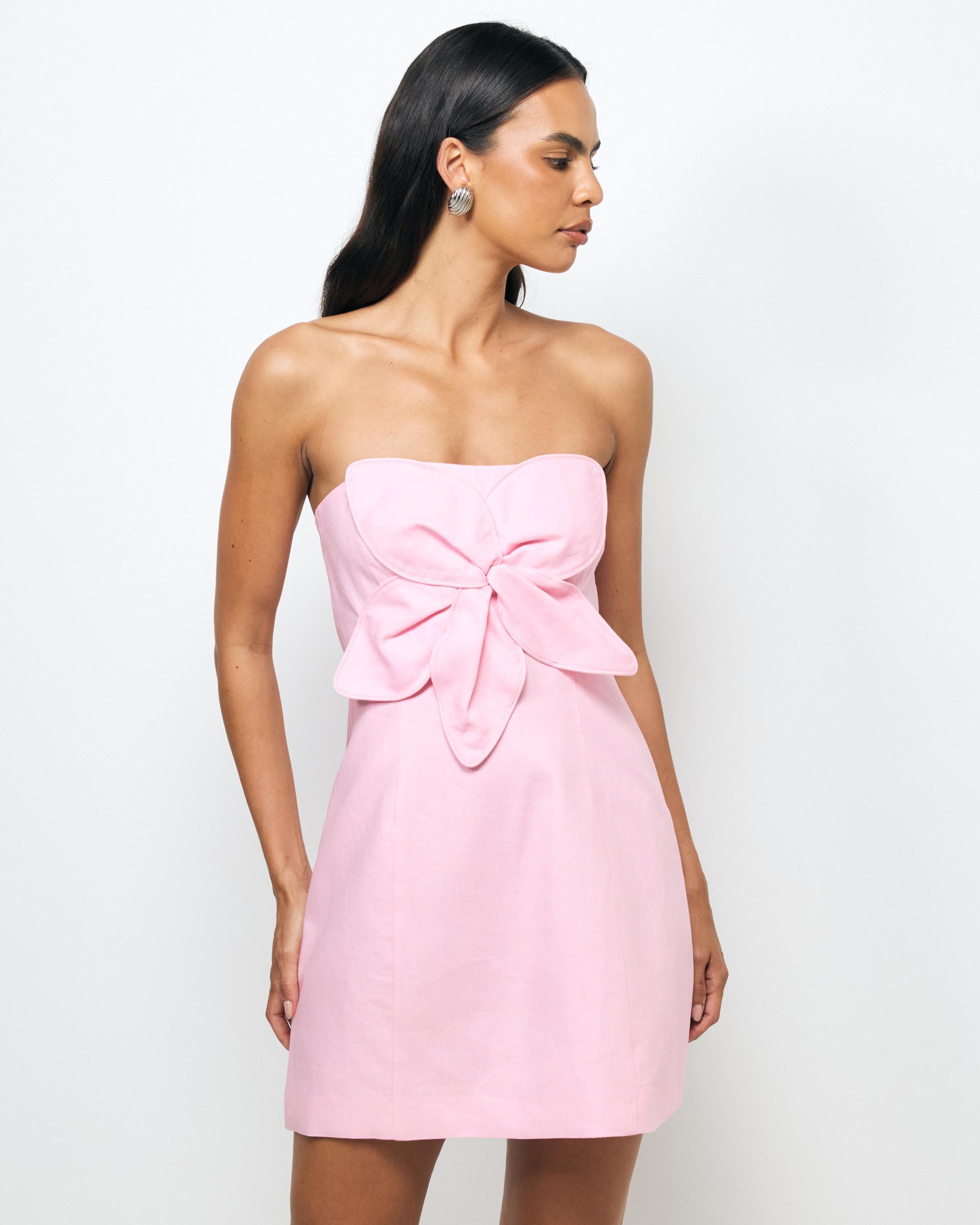 Tiera Strapless Mini Dress