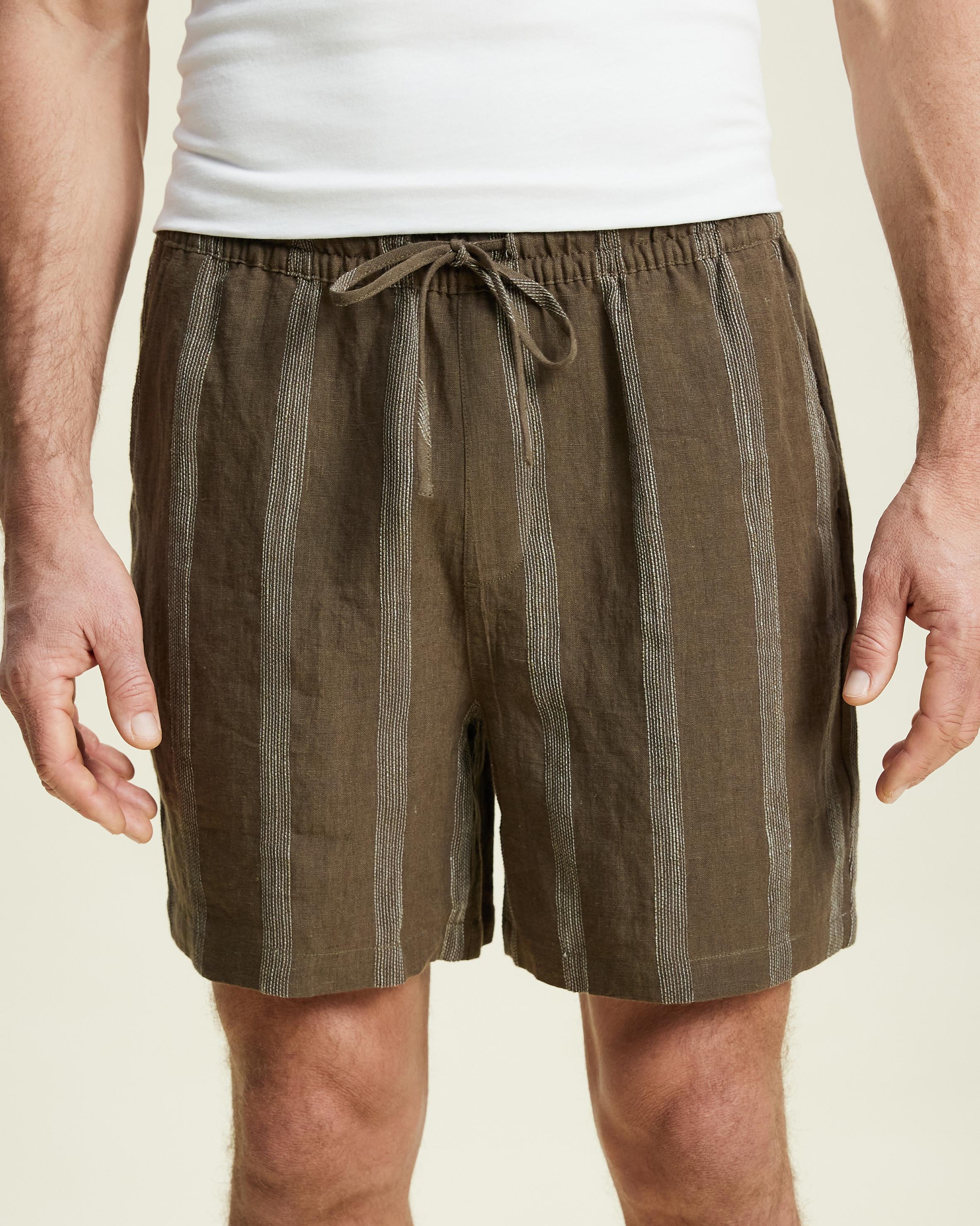 Linen Stripe Euro Shorts