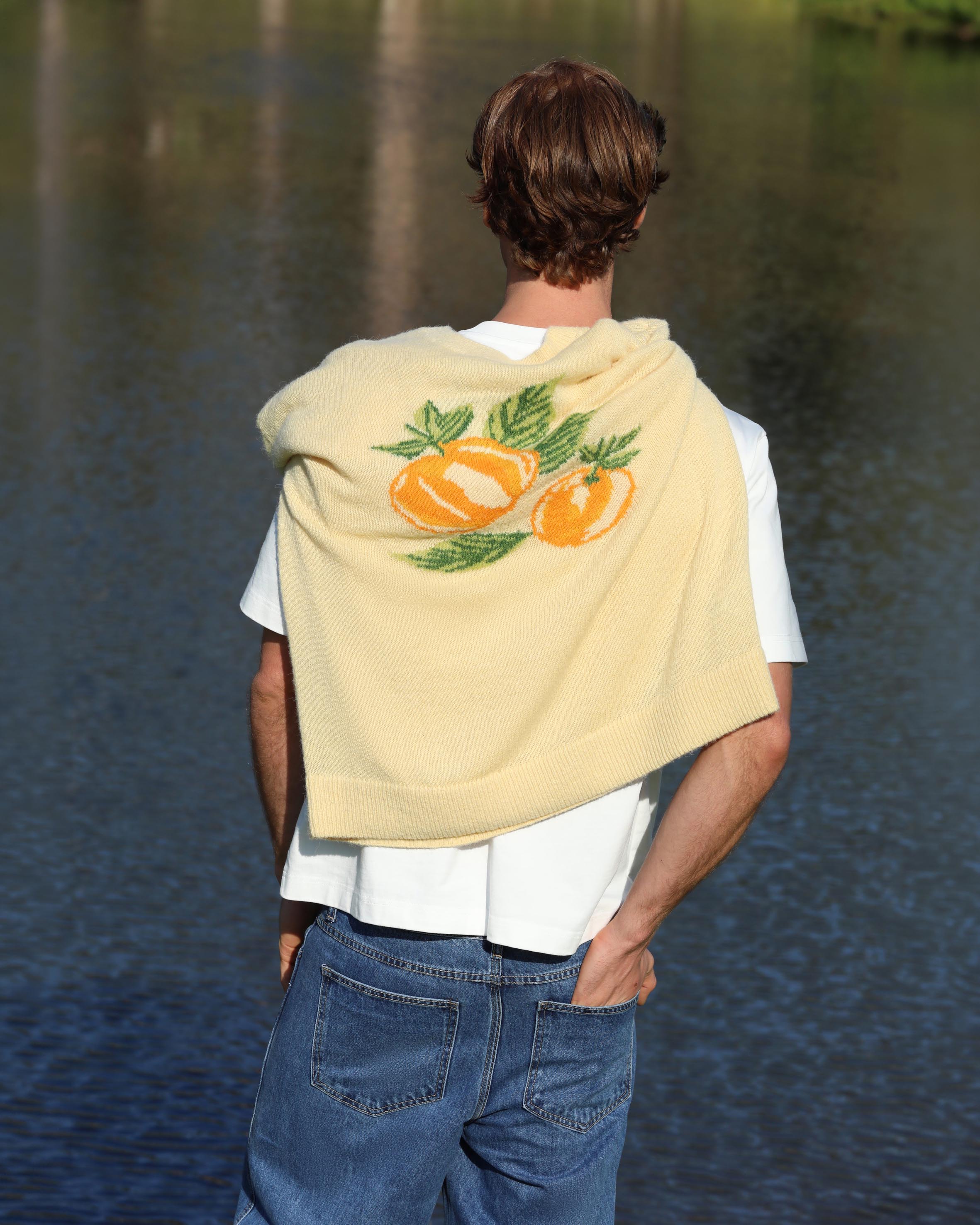 Citrus Intarsia Knit Jumper