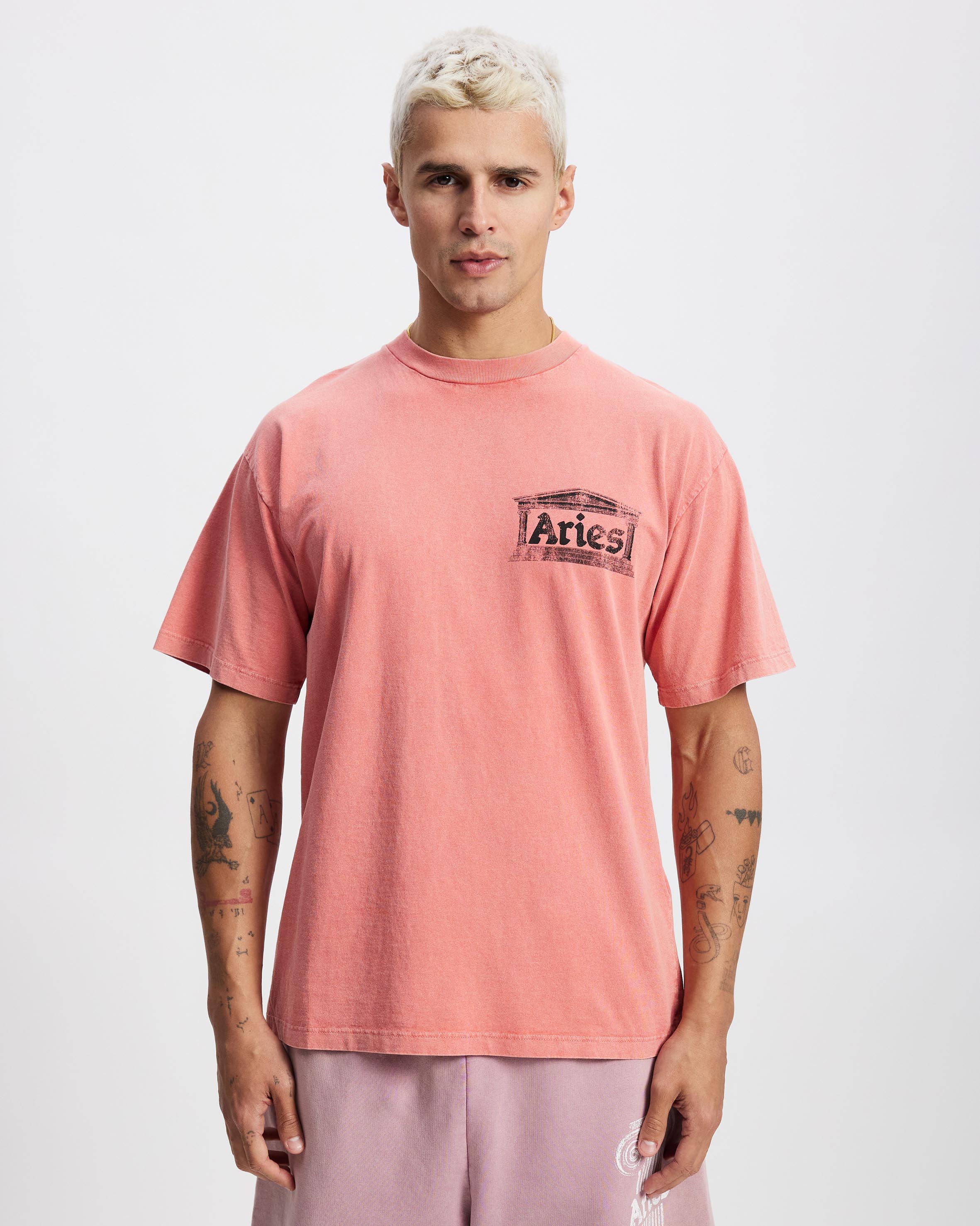 Aged Ancient Temple SS Tee