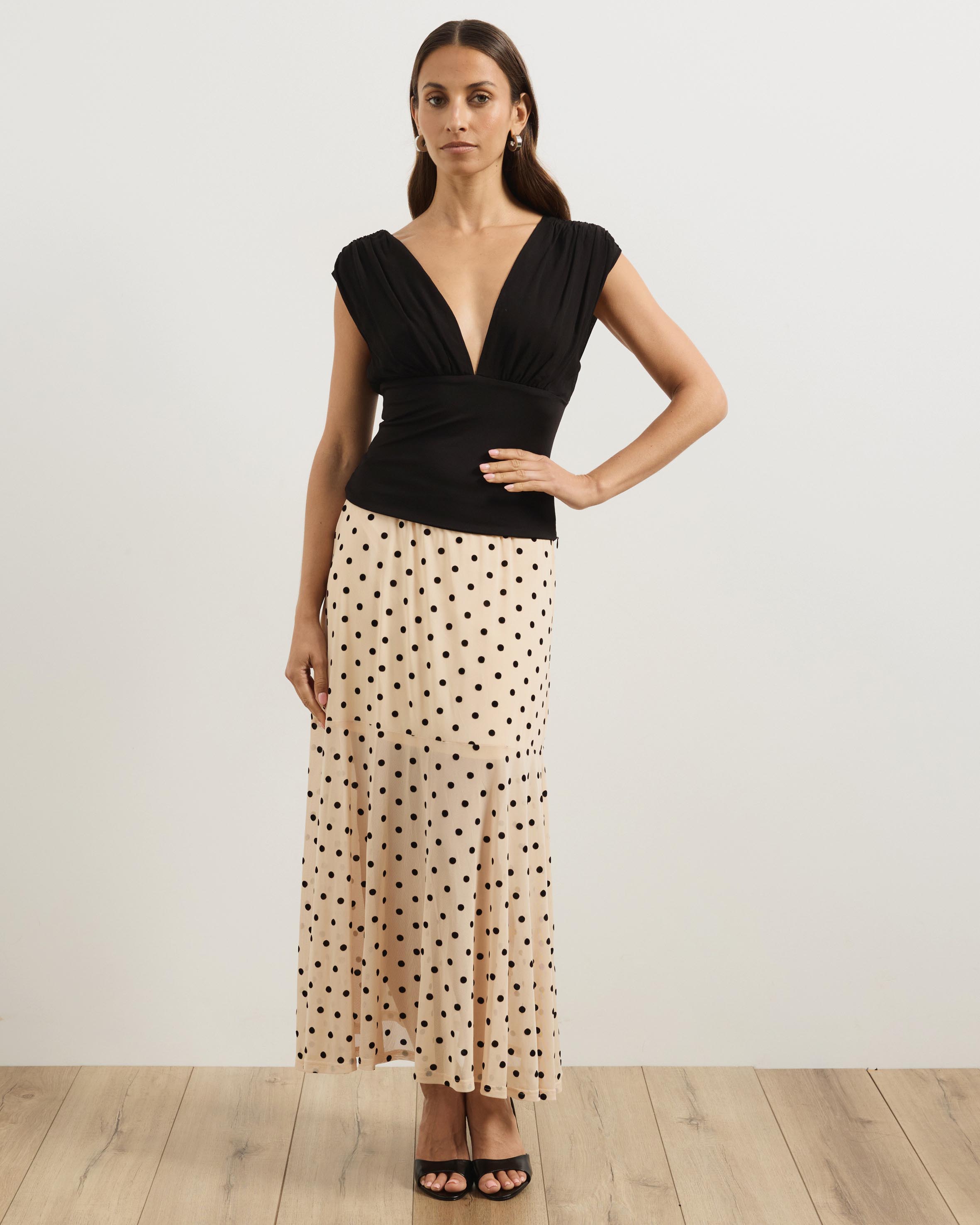 Aria Polka Dot Sheer Skirt