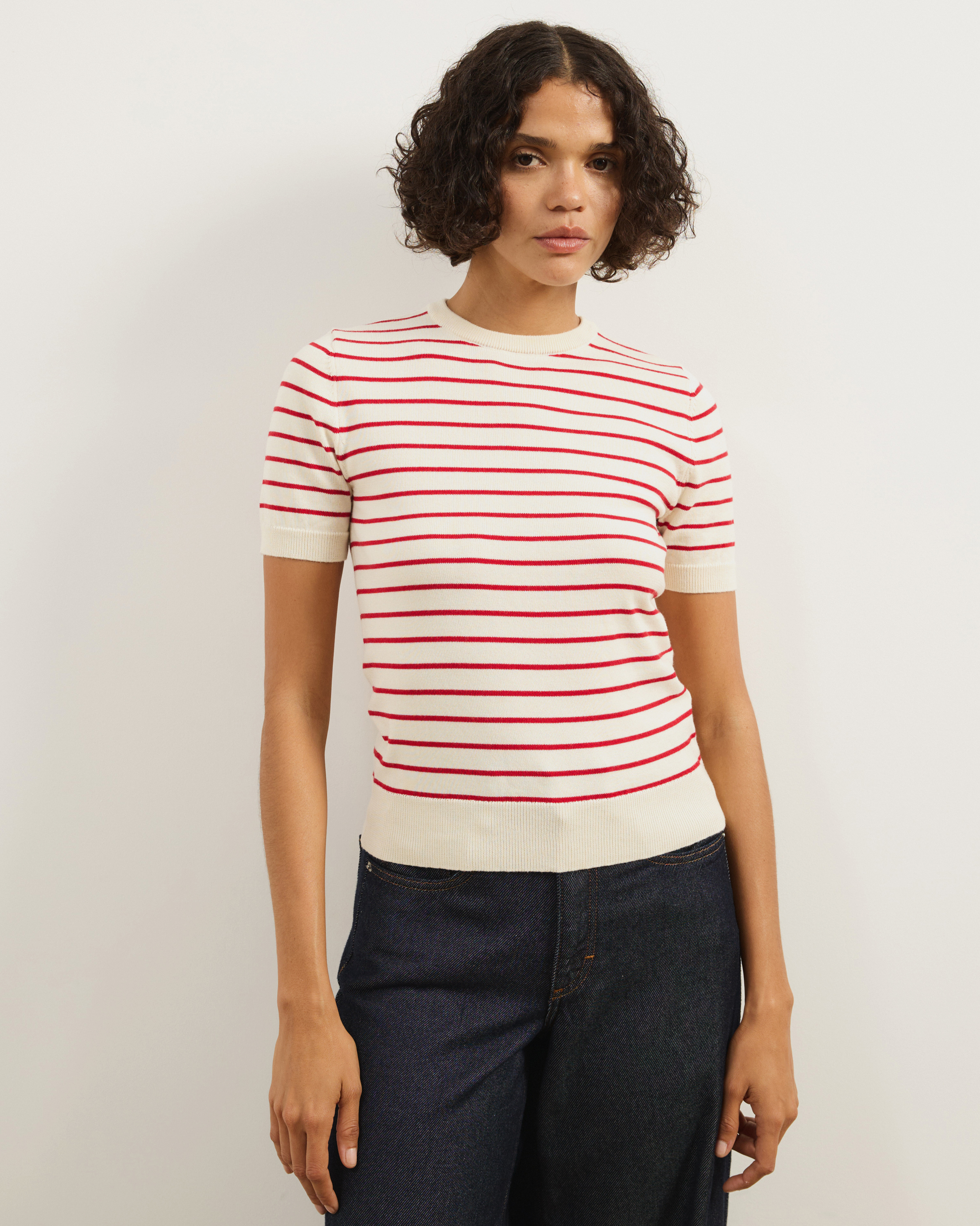 Short Sleeve Fine Knit Stripe Top