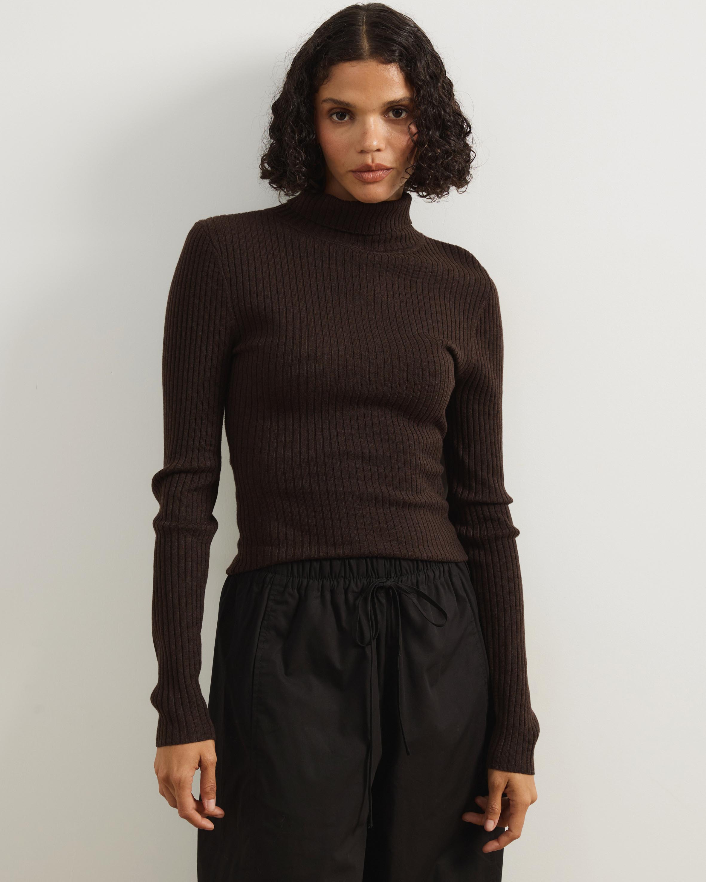 Annie Wool Blend Turtleneck Knit Top