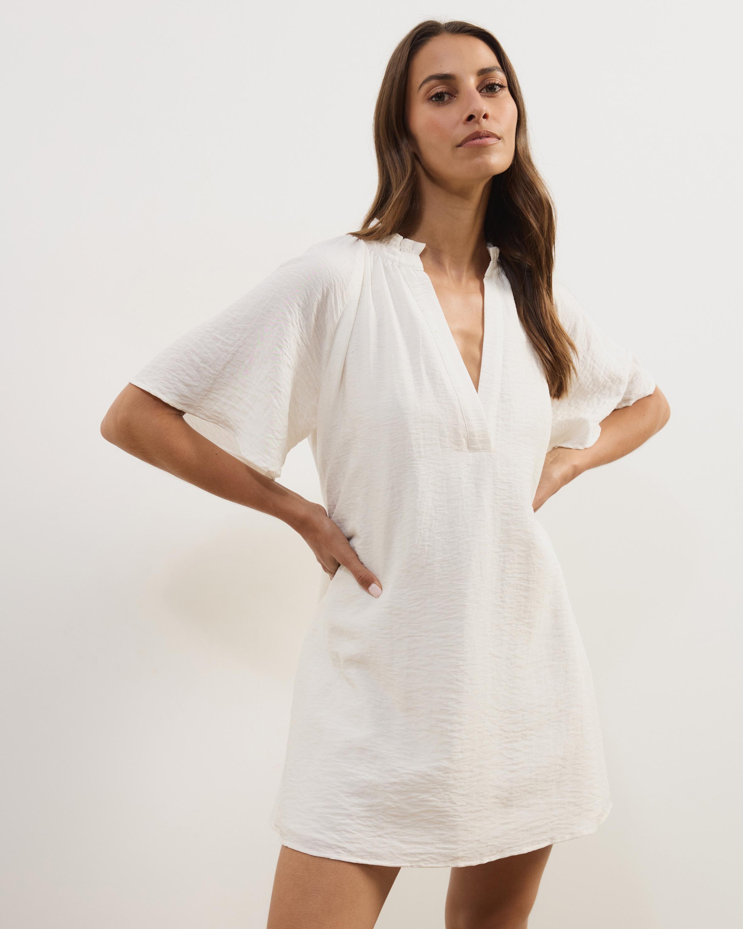 Amina A-Line Mini Dress With Butterfly Sleeves