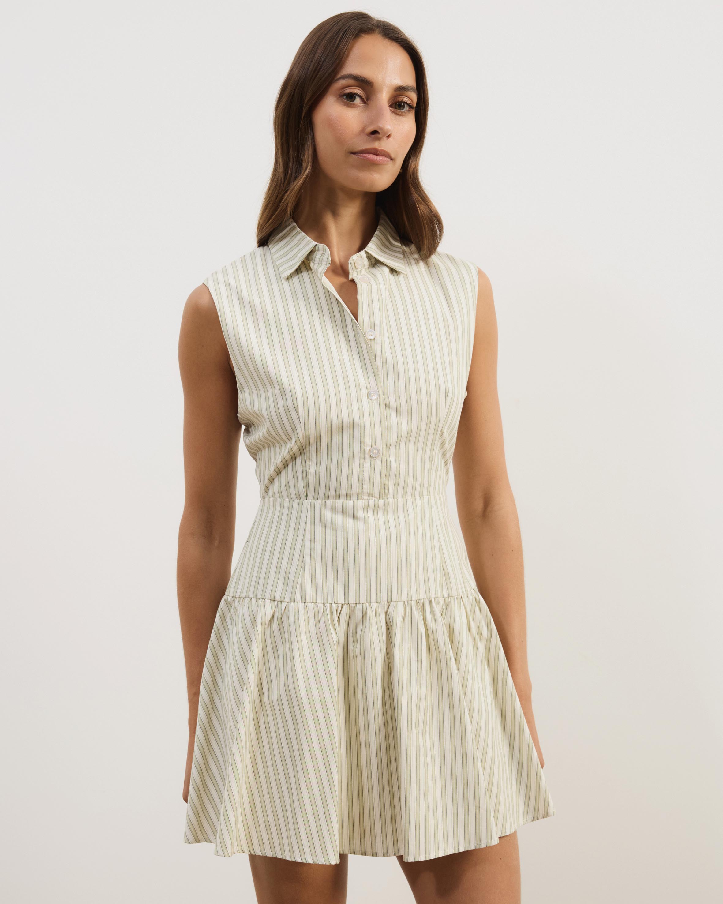 Ava Stripe Mini Fit And Flare Dress