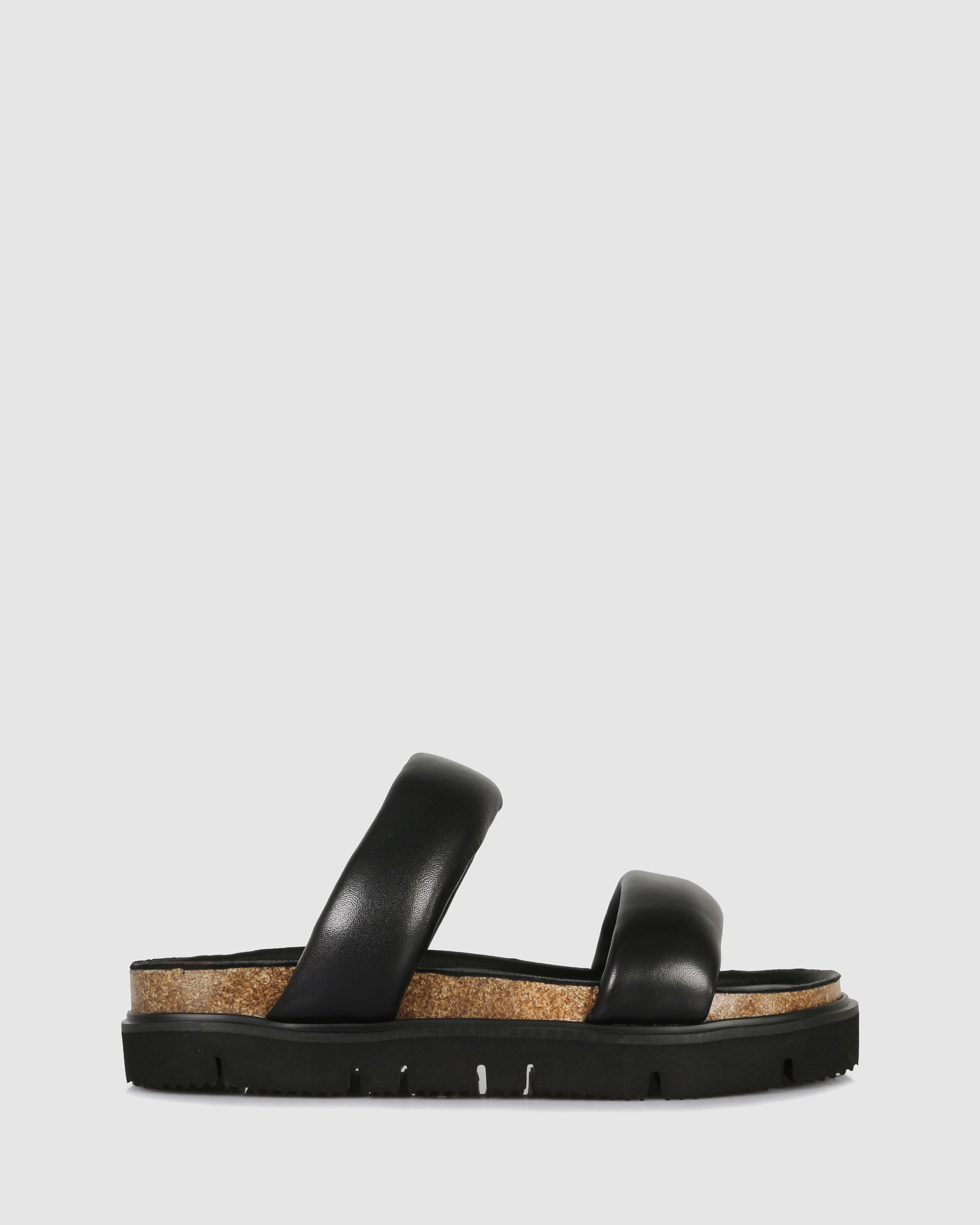 Polaris Slides