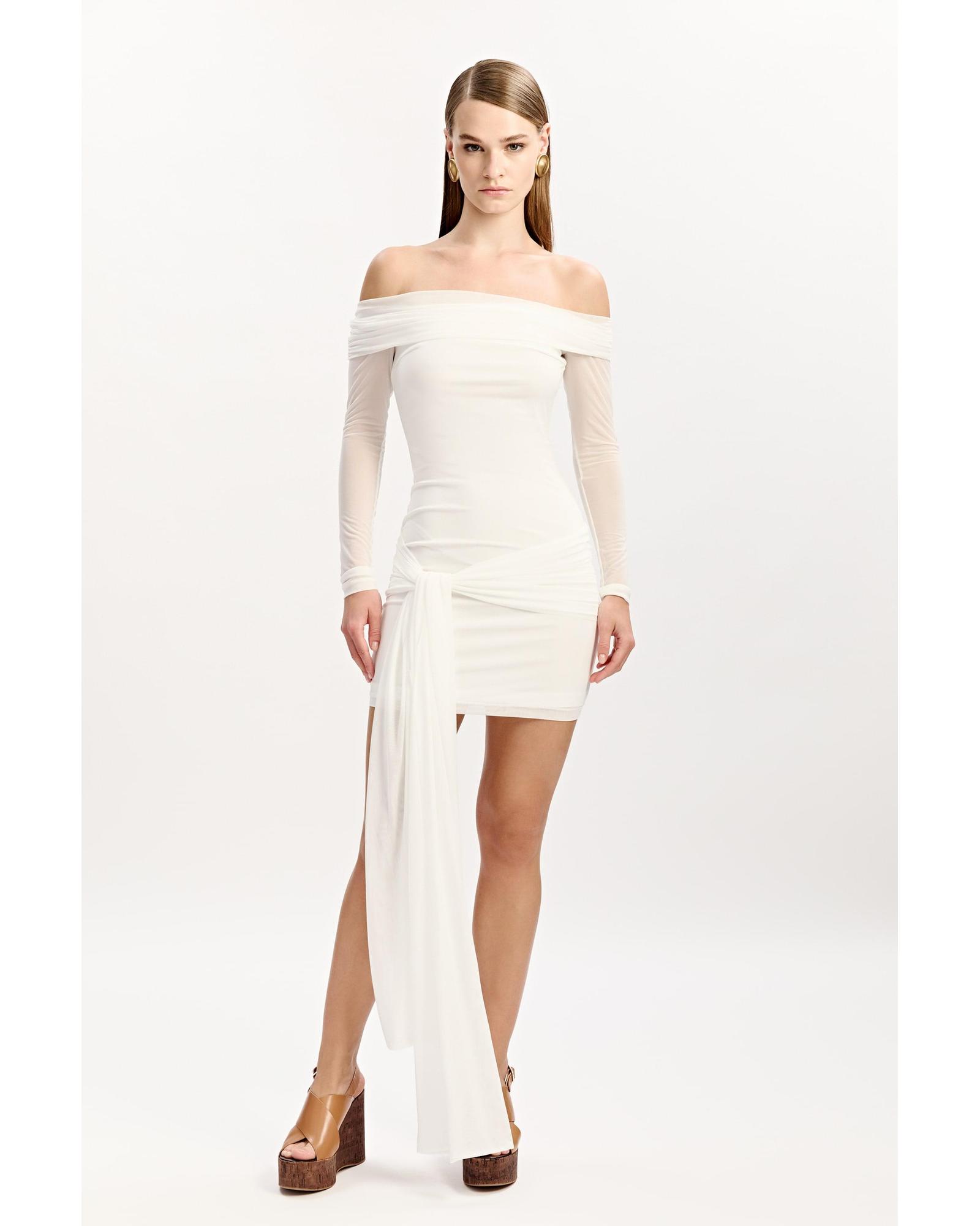 Fernanda Mesh Mini Dress
