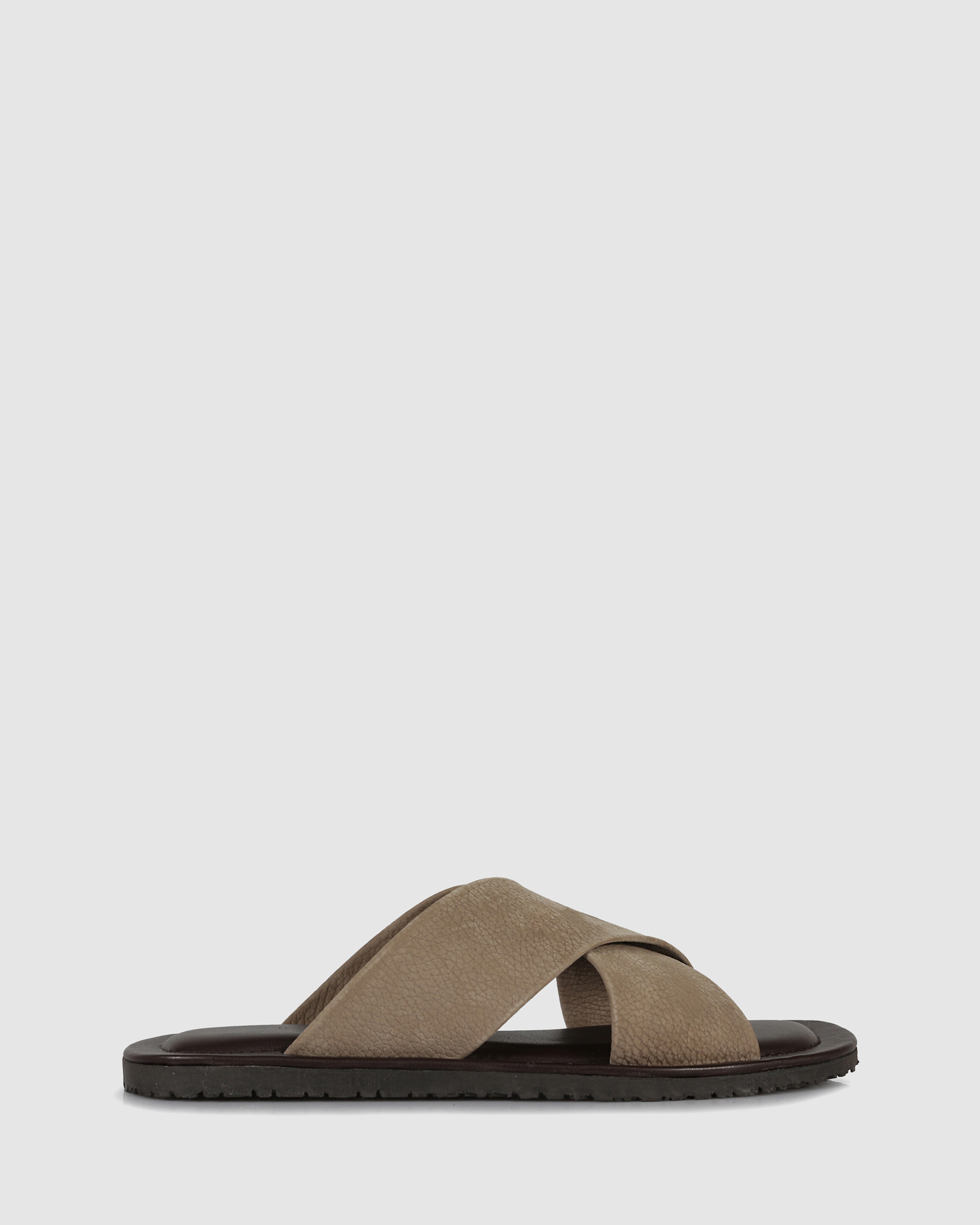 Angiolo Slides