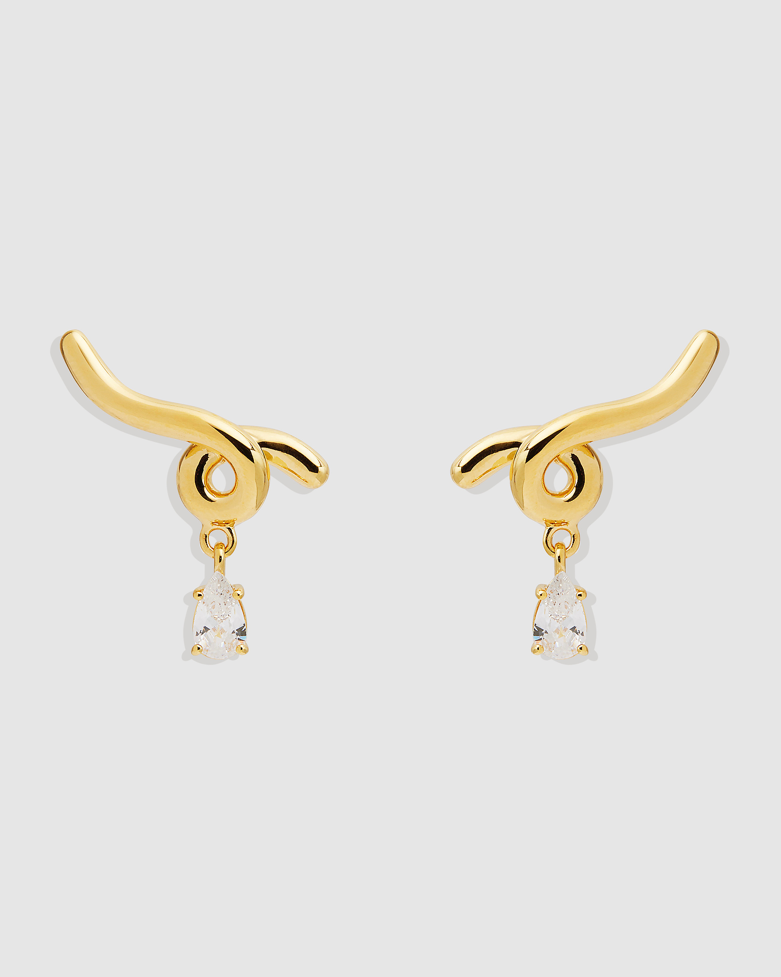 Entwined With You Earrings