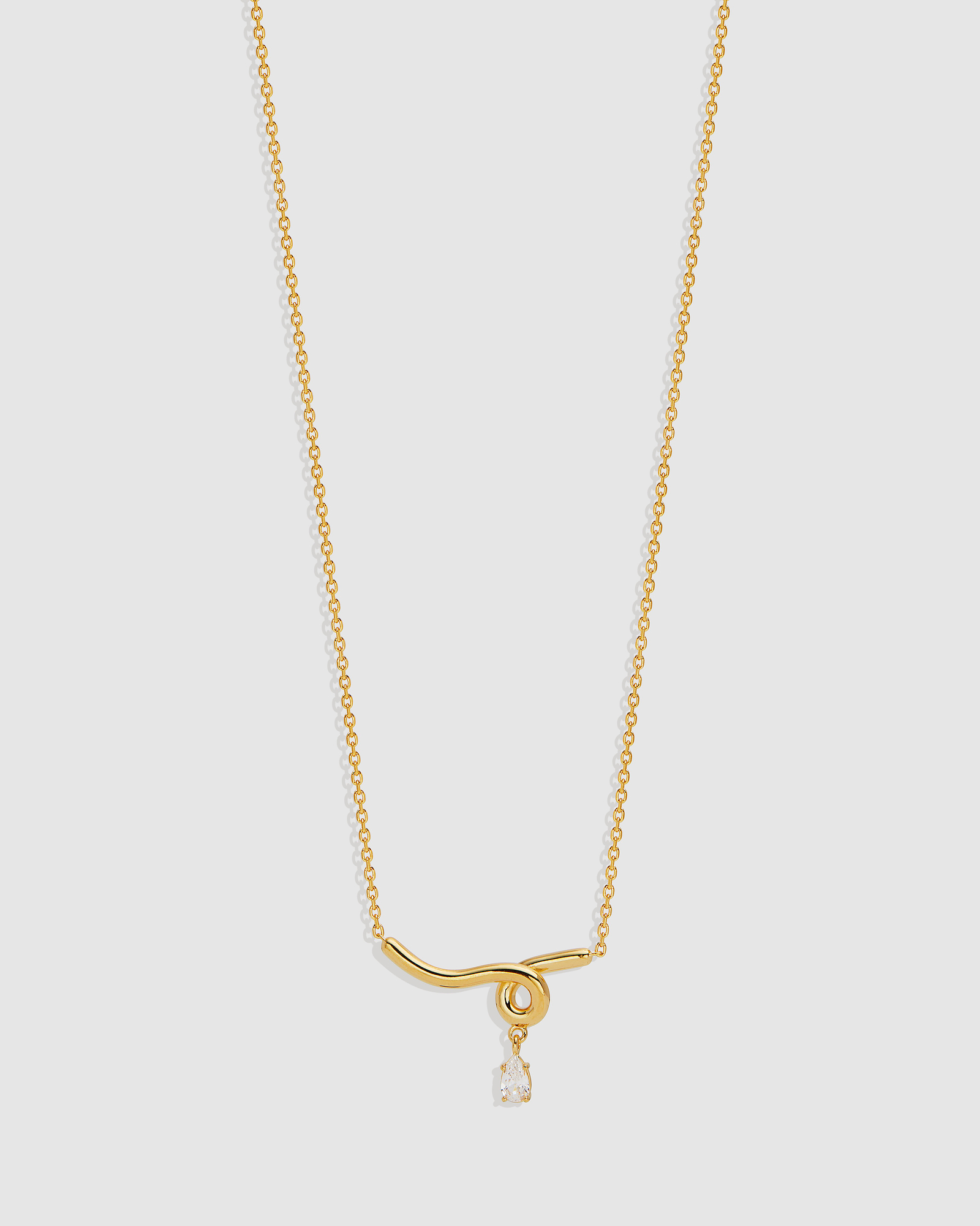 Entwined With You Necklace