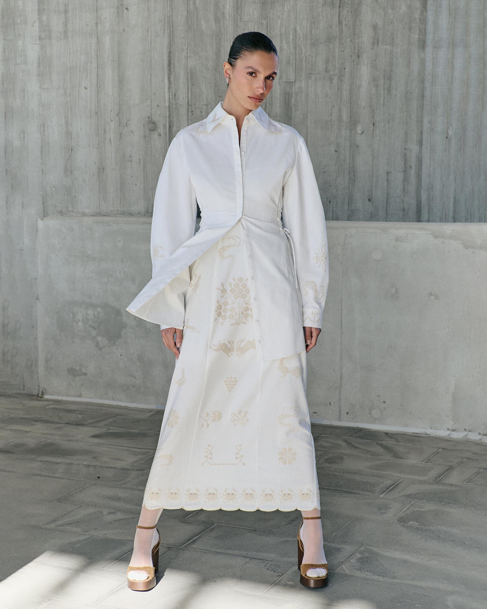 Satine Embroidered Dress