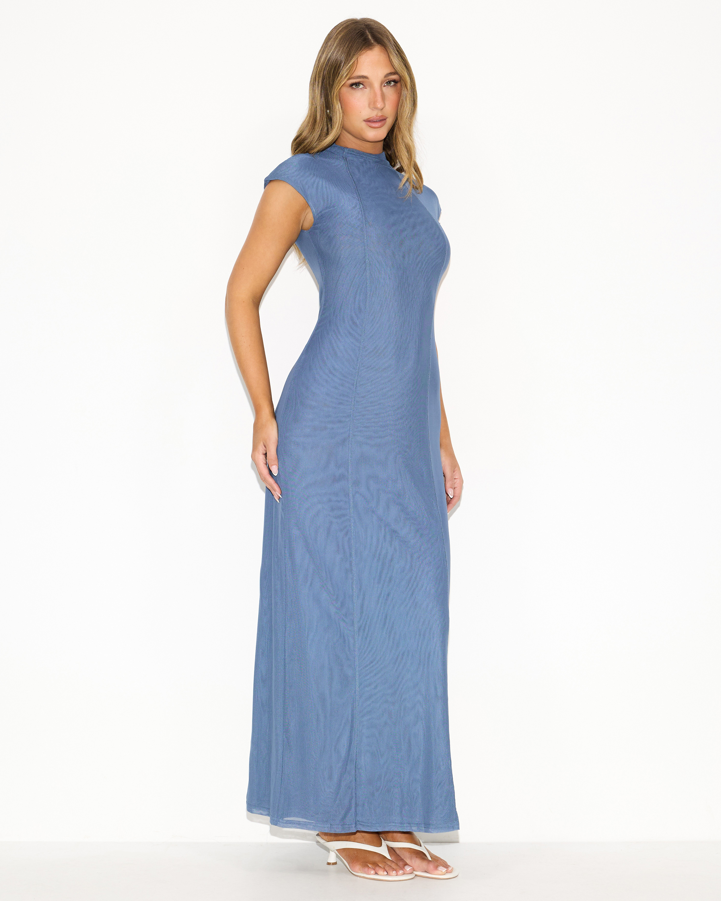 Premiere Mesh Cap Sleeve Maxi Dress
