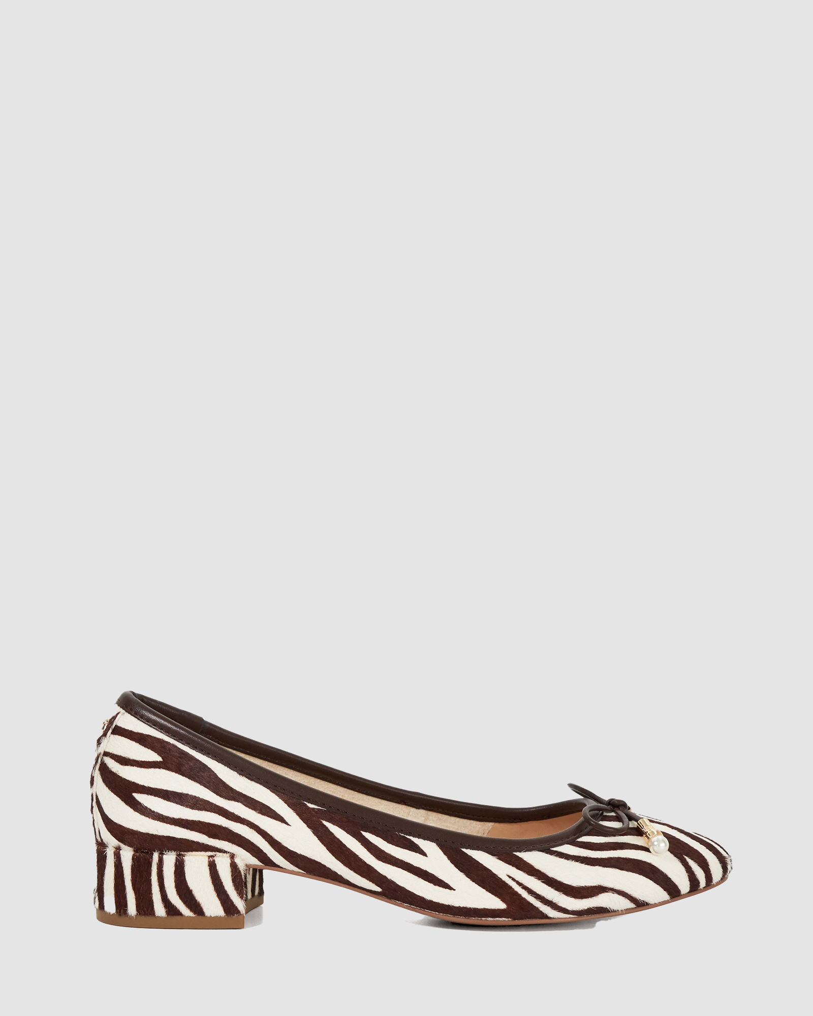 Amazing - Zebra