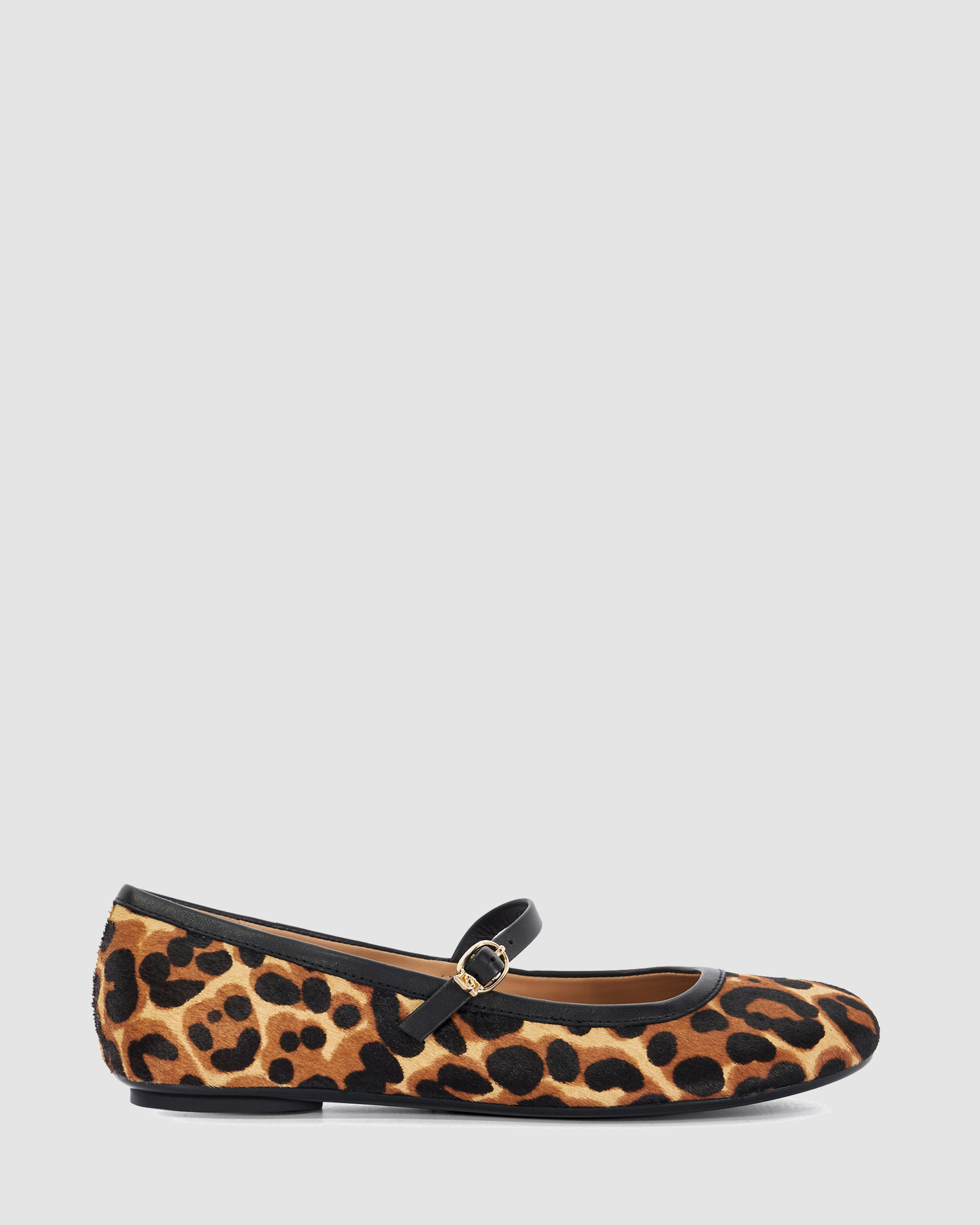 Heida - Leopard