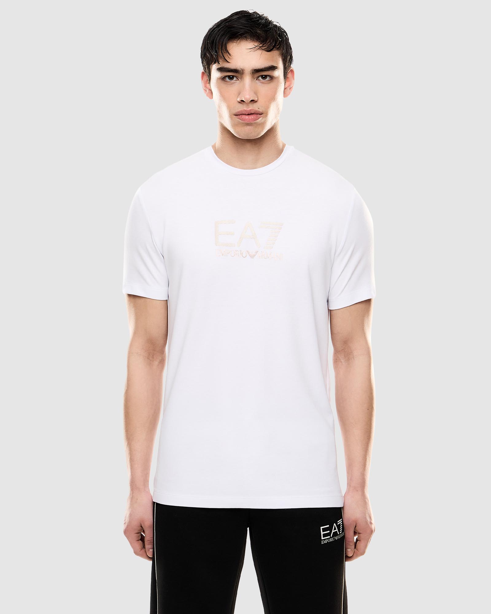 Train Gold Label M Tee SS Big Logo VI PA