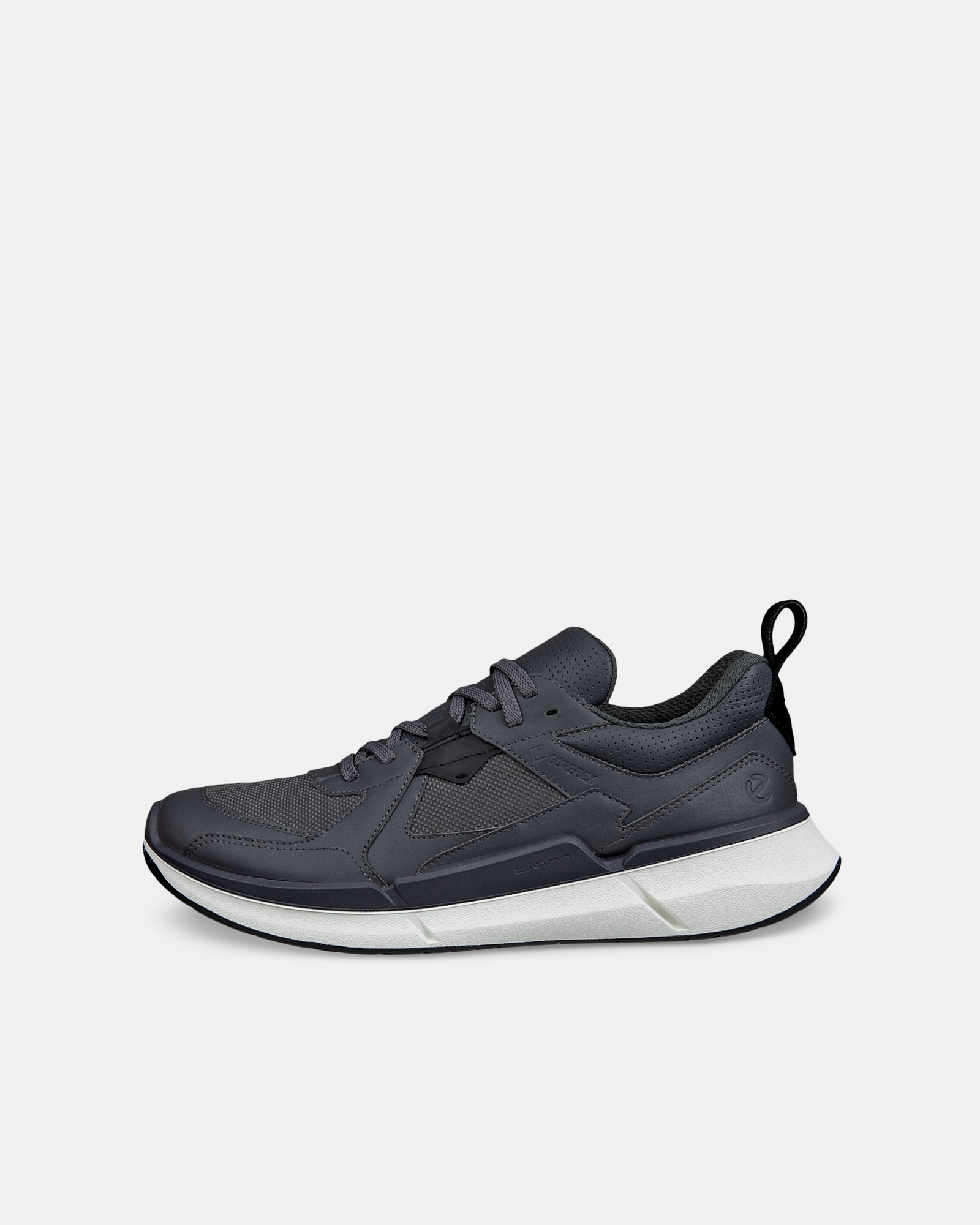 ECCO Biom 2.2