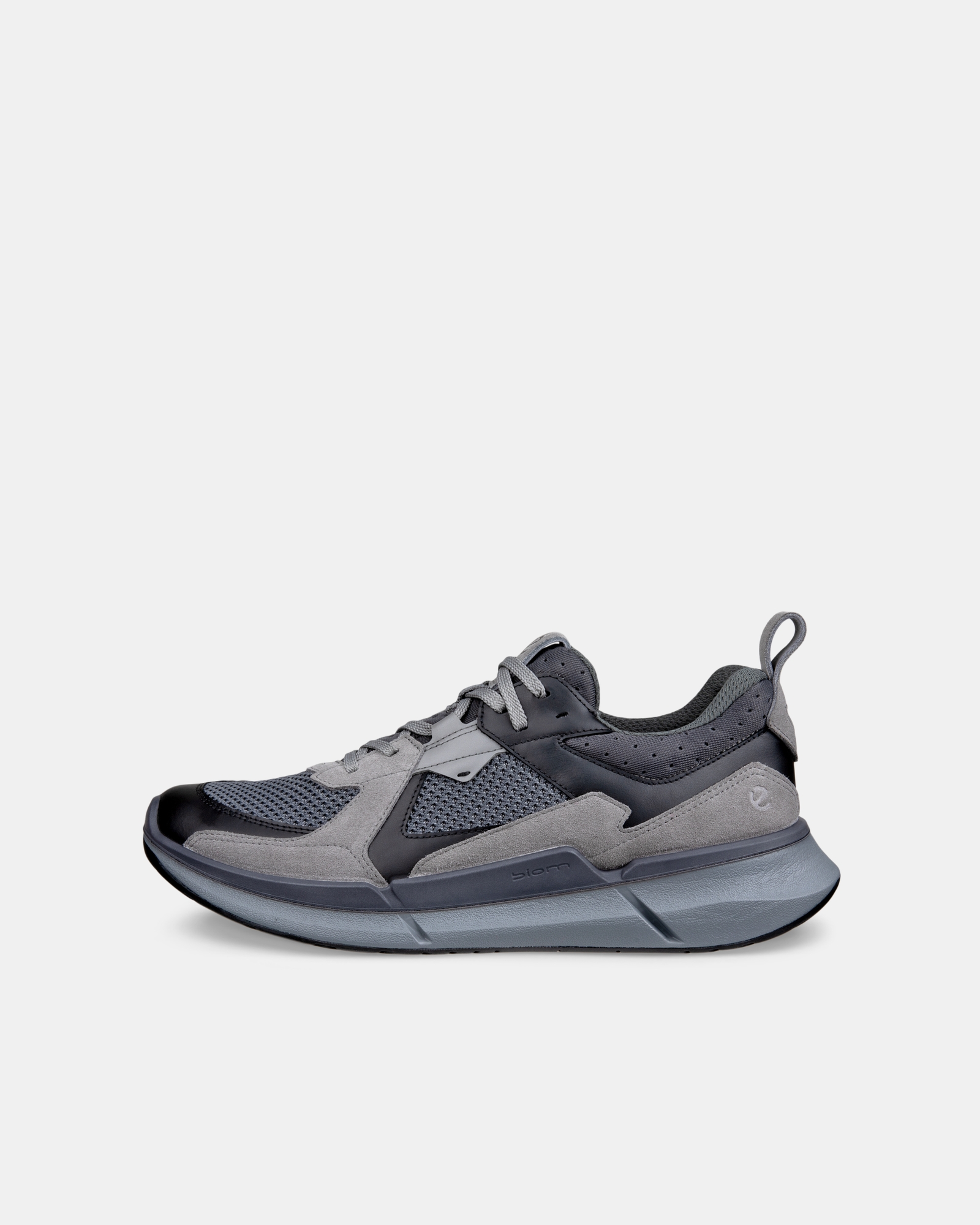 ECCO Biom 2.2