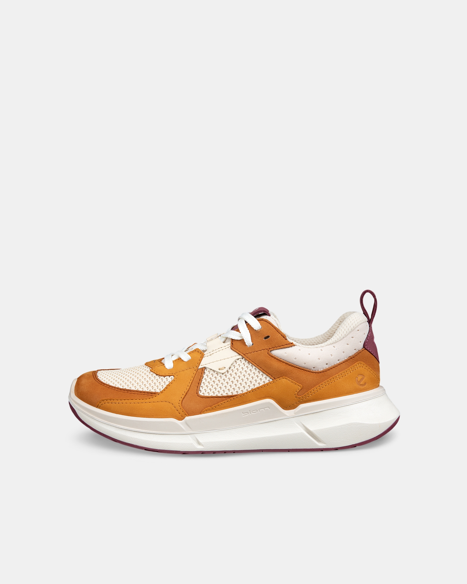 ECCO Biom 2.2
