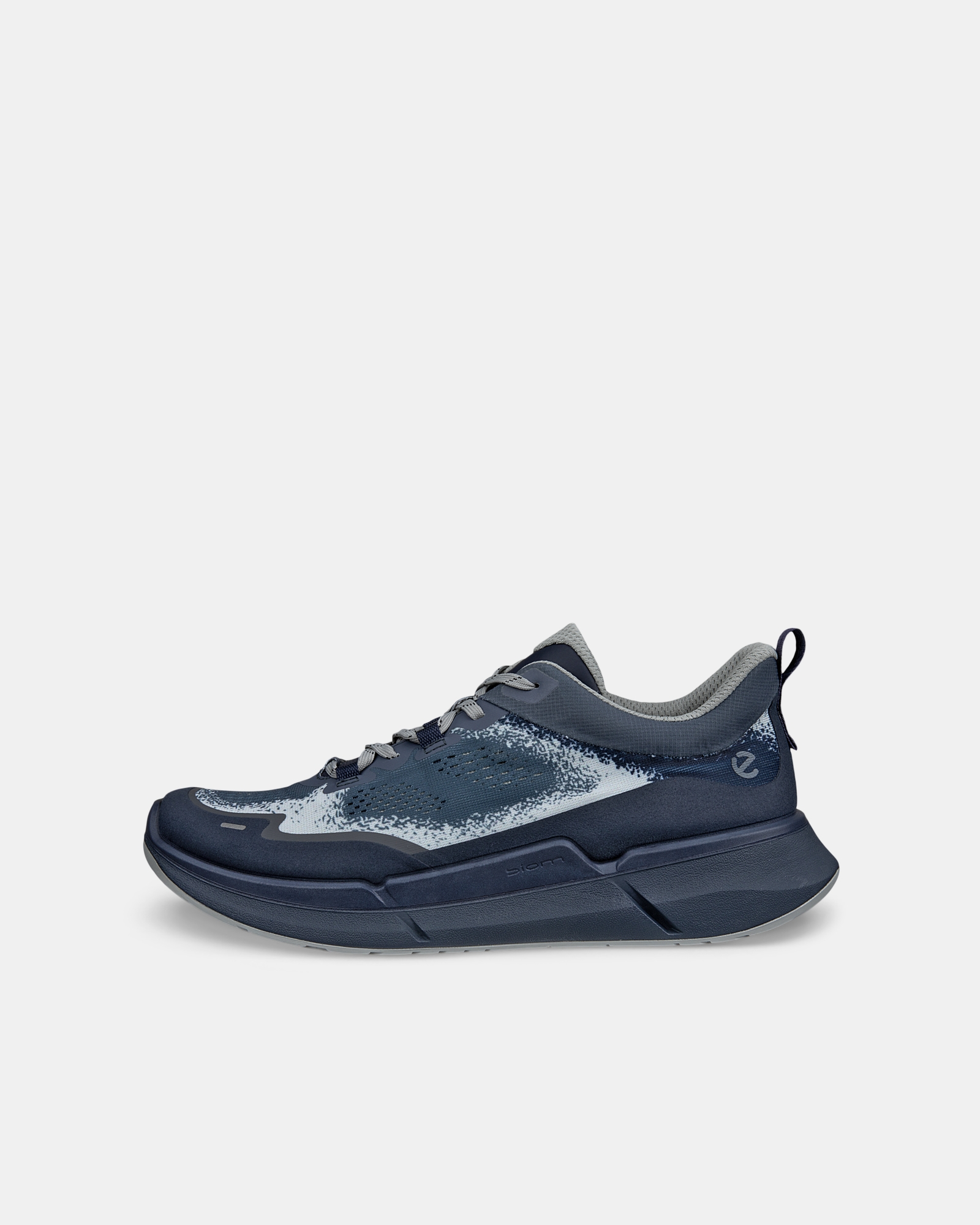ECCO Biom 2.2