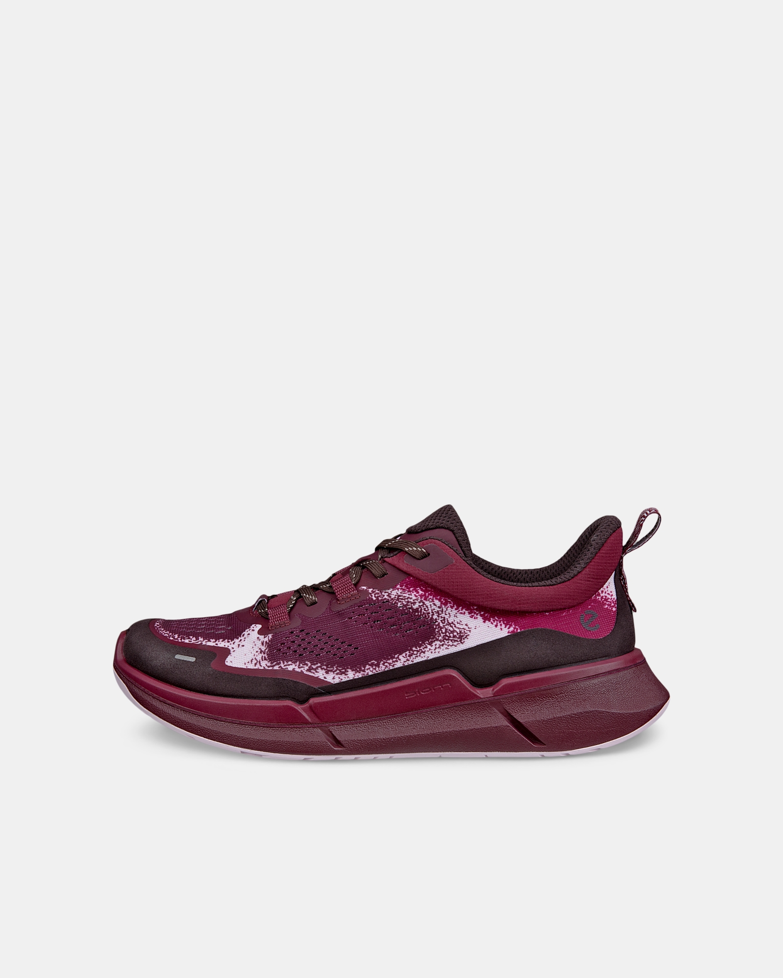ECCO Biom 2.2
