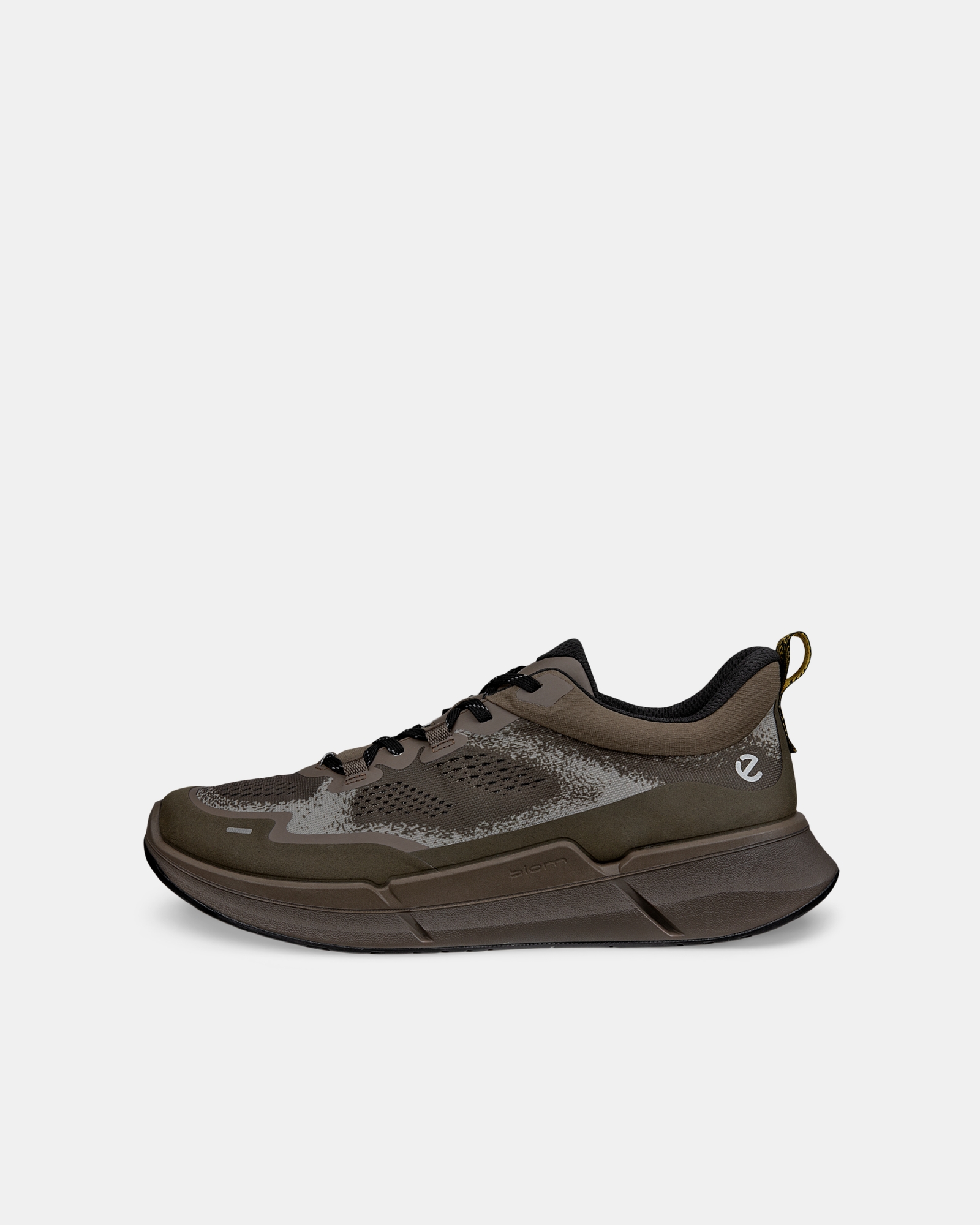 ECCO Biom 2.2