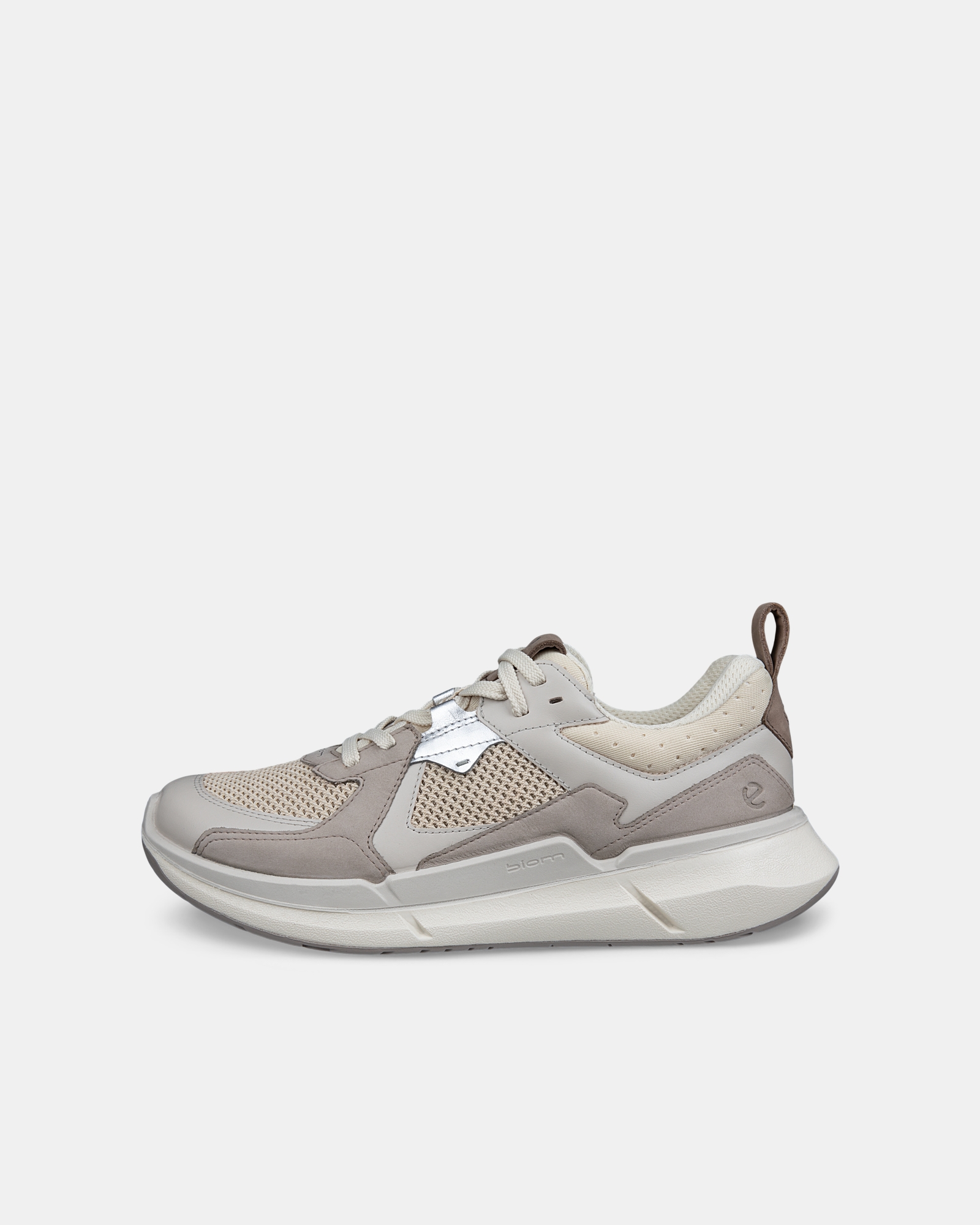 ECCO Biom 2.2