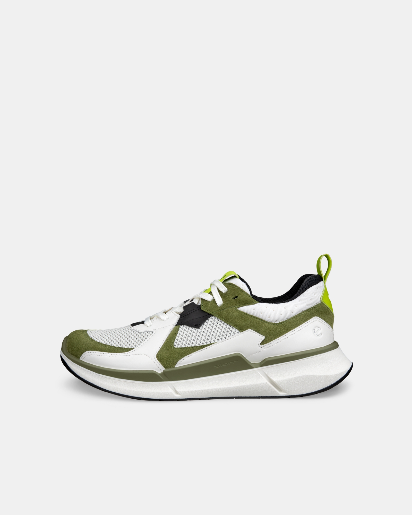 ECCO BIOM 2.2