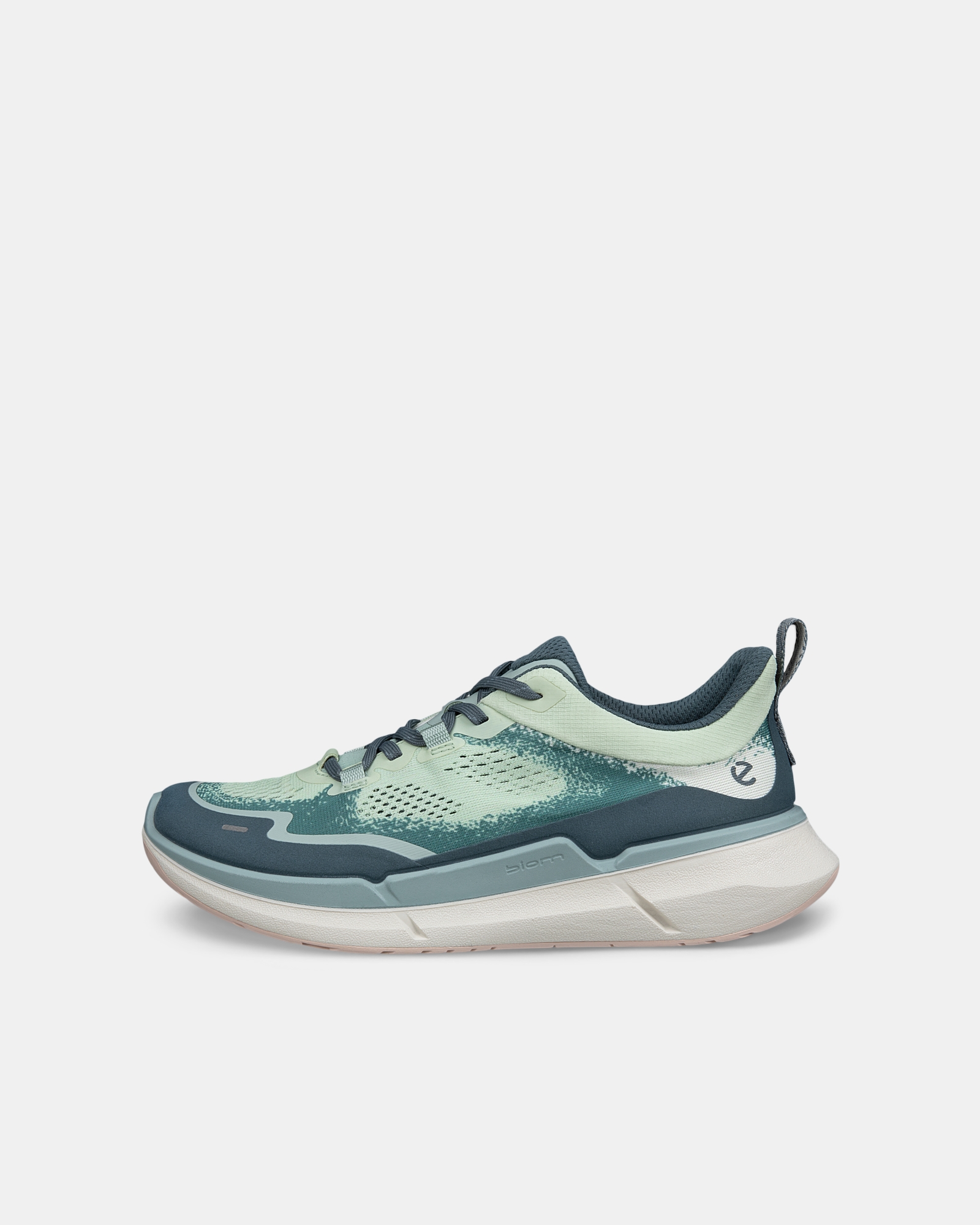 ECCO Biom 2.2