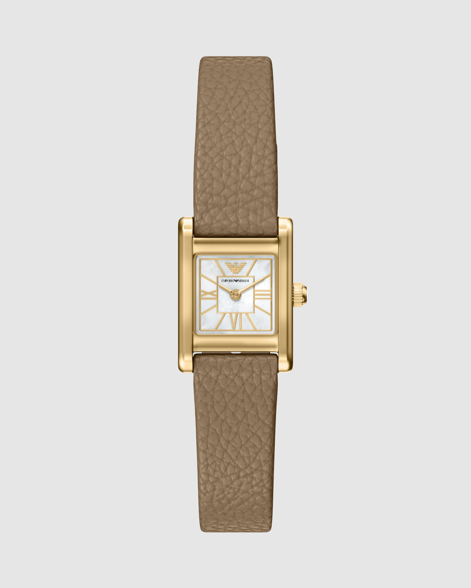 Brown Analogue Watch
