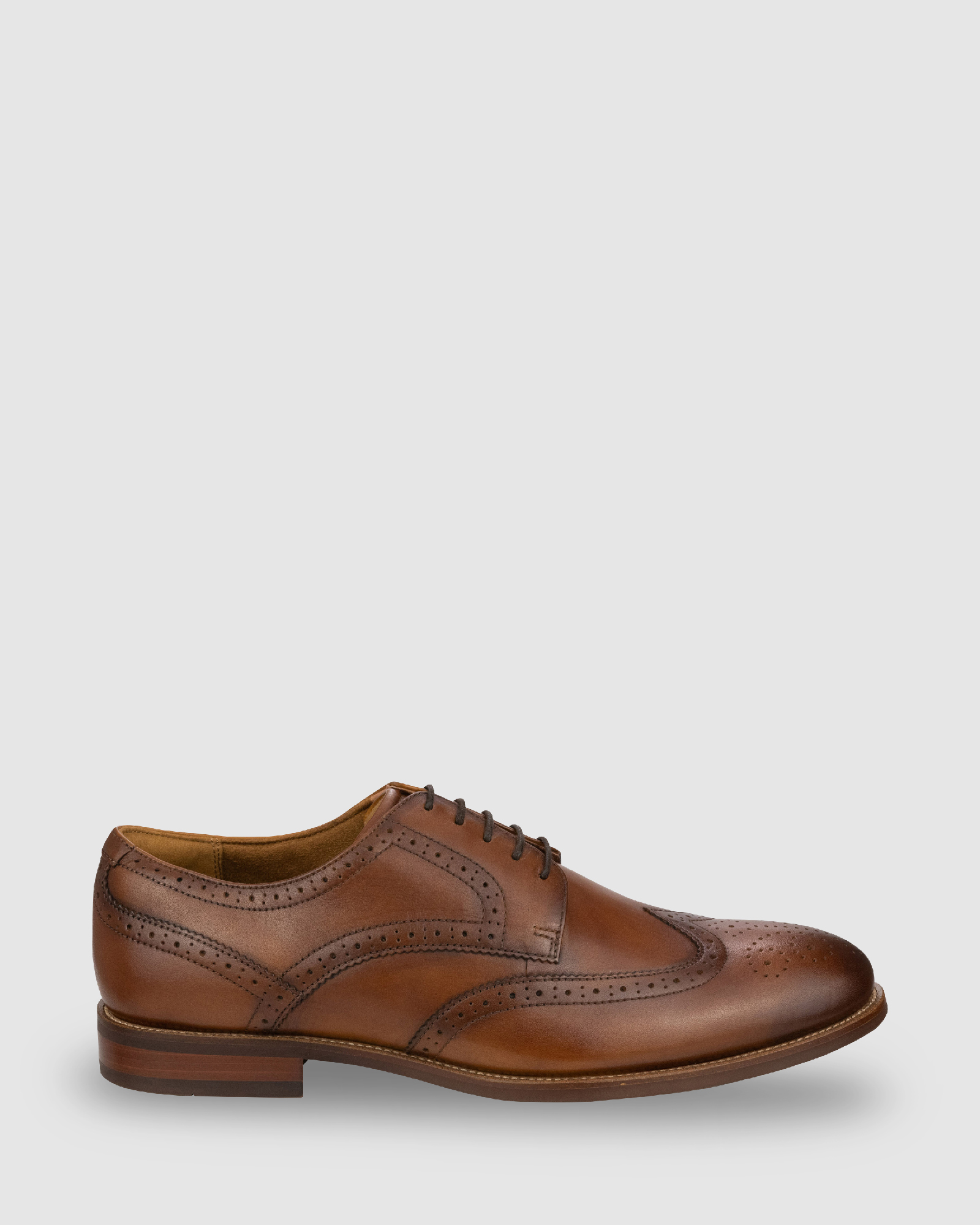 Rucci Wingtip
