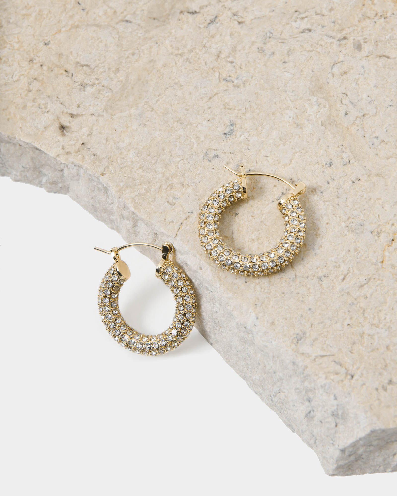 Leonie 16k Gold Plated Earrings