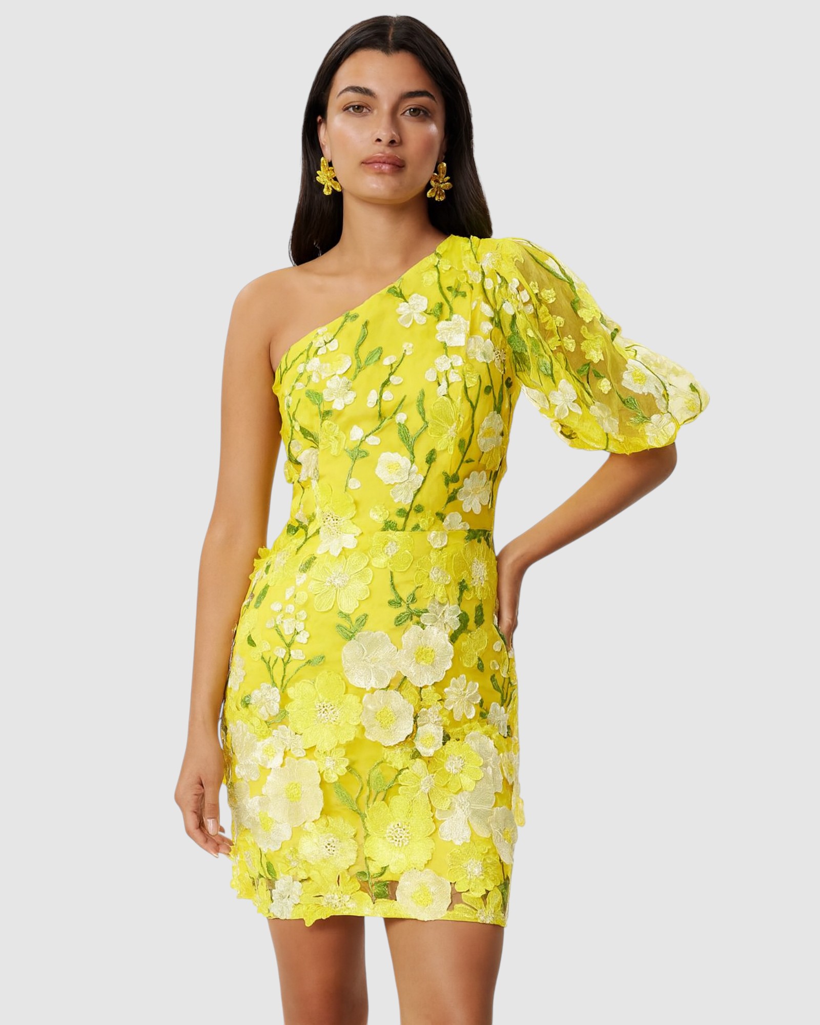 Enchanted Garden One Sleeve Dress