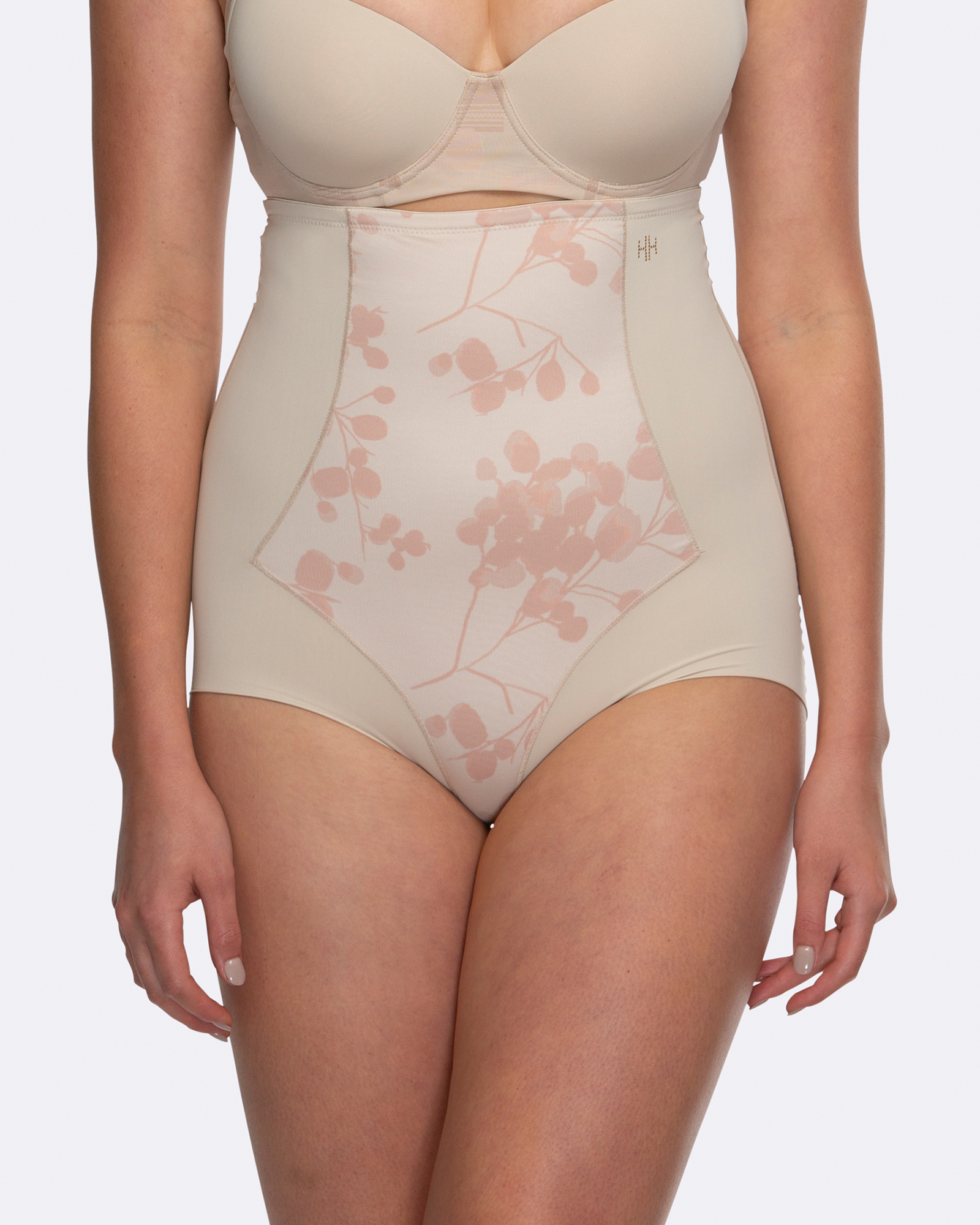 Eden Medium Control High Waist Briefs