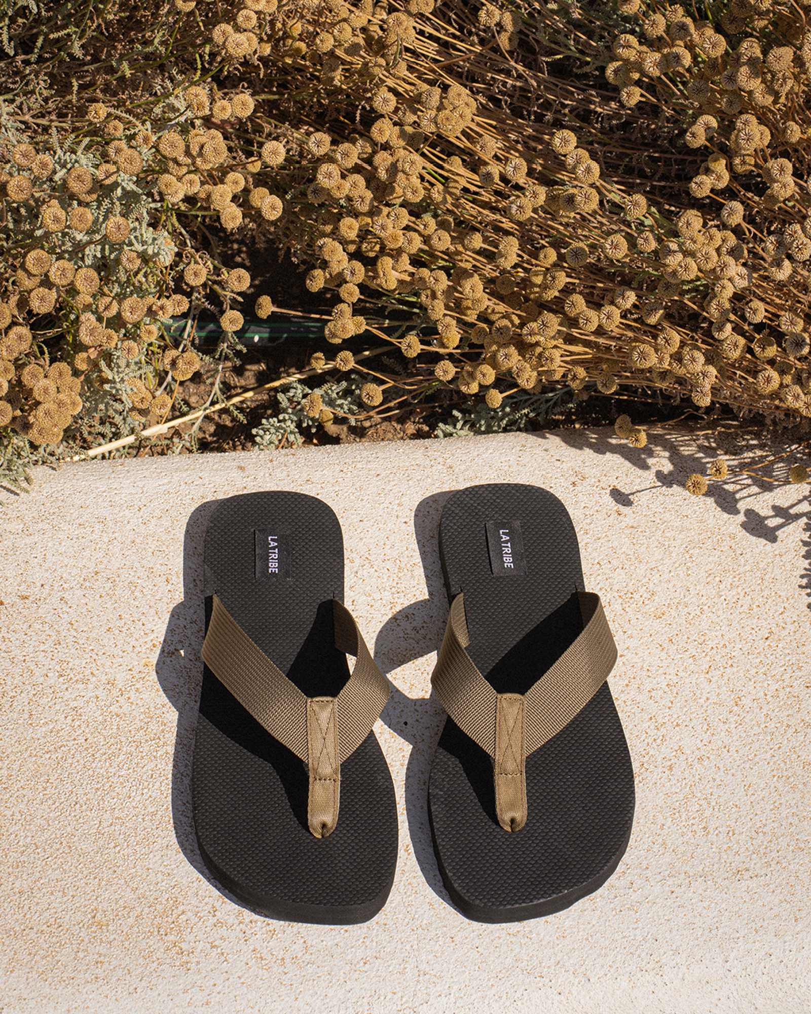 Canvas Thongs