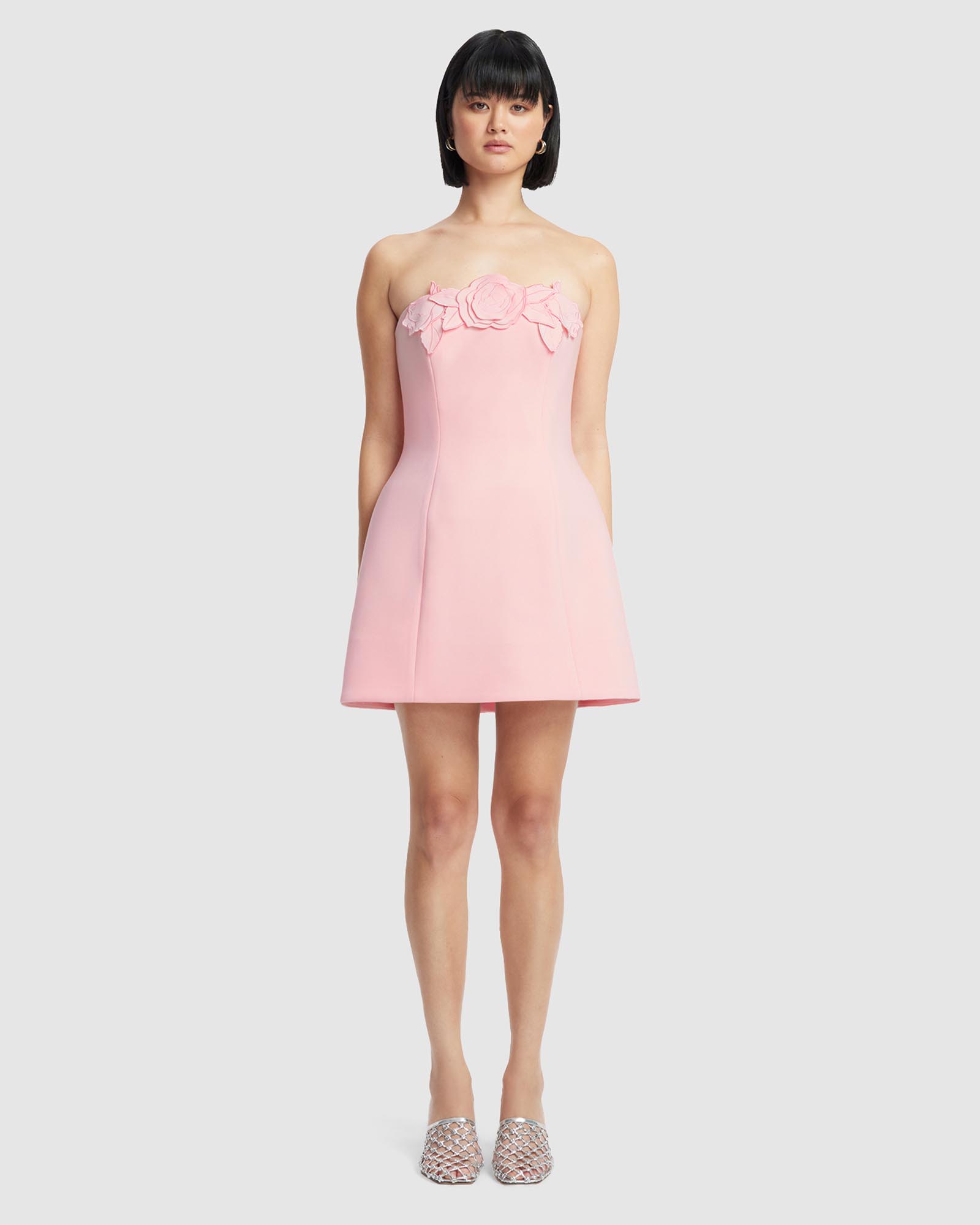 Roselle Applique Bustier Mini Dress
