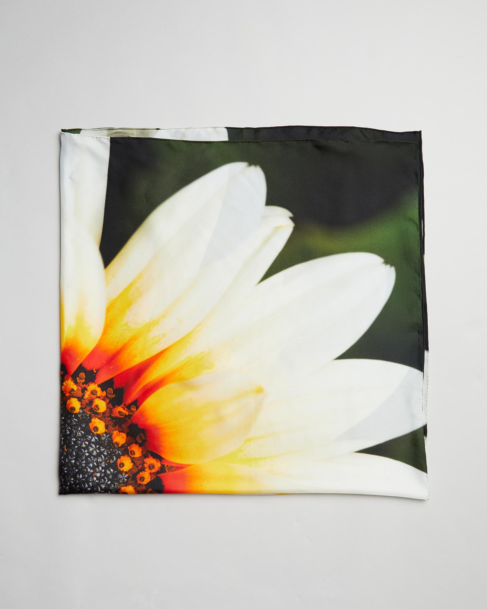 African Daisy Bloom Silk Scarf