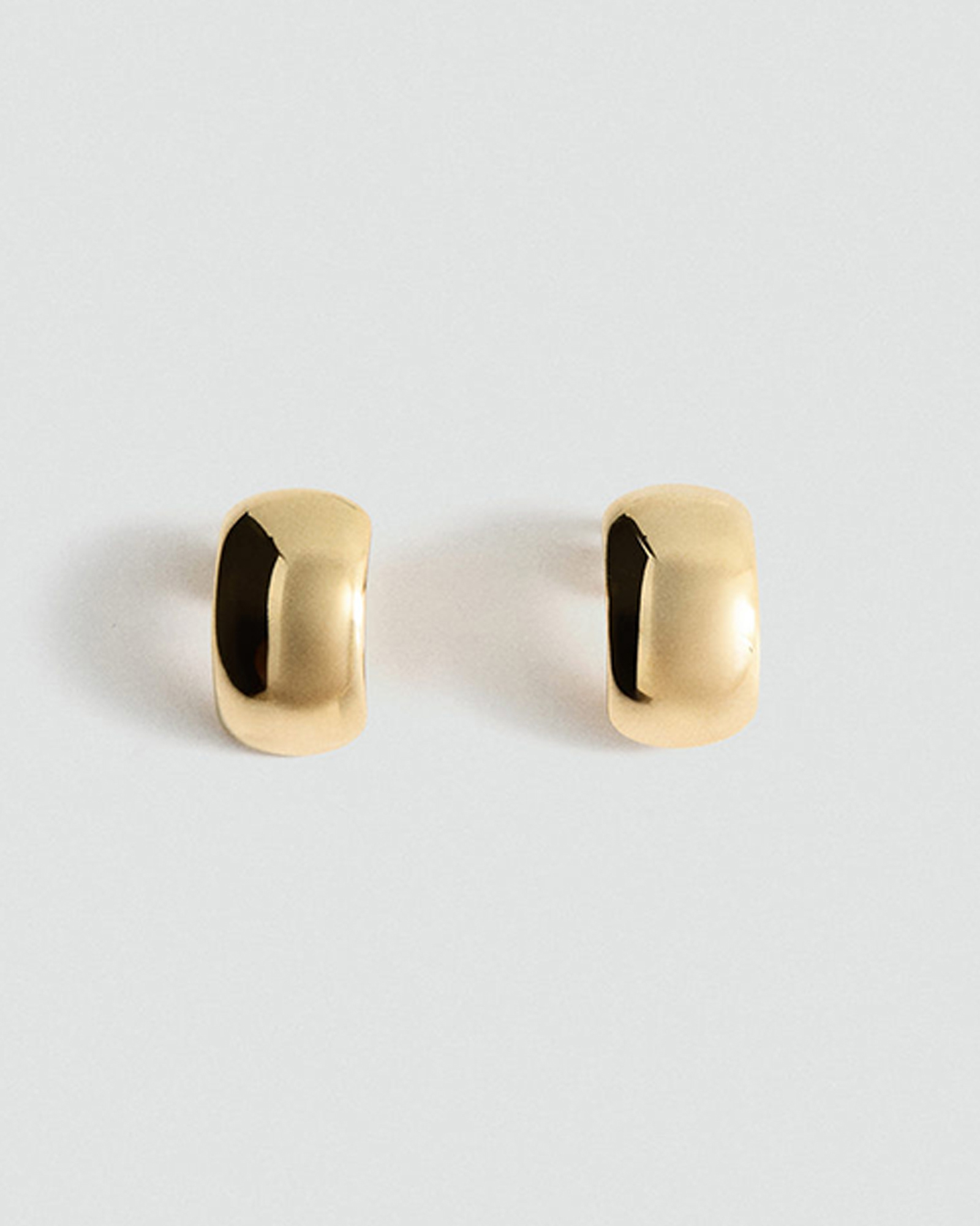 Texas Earrings