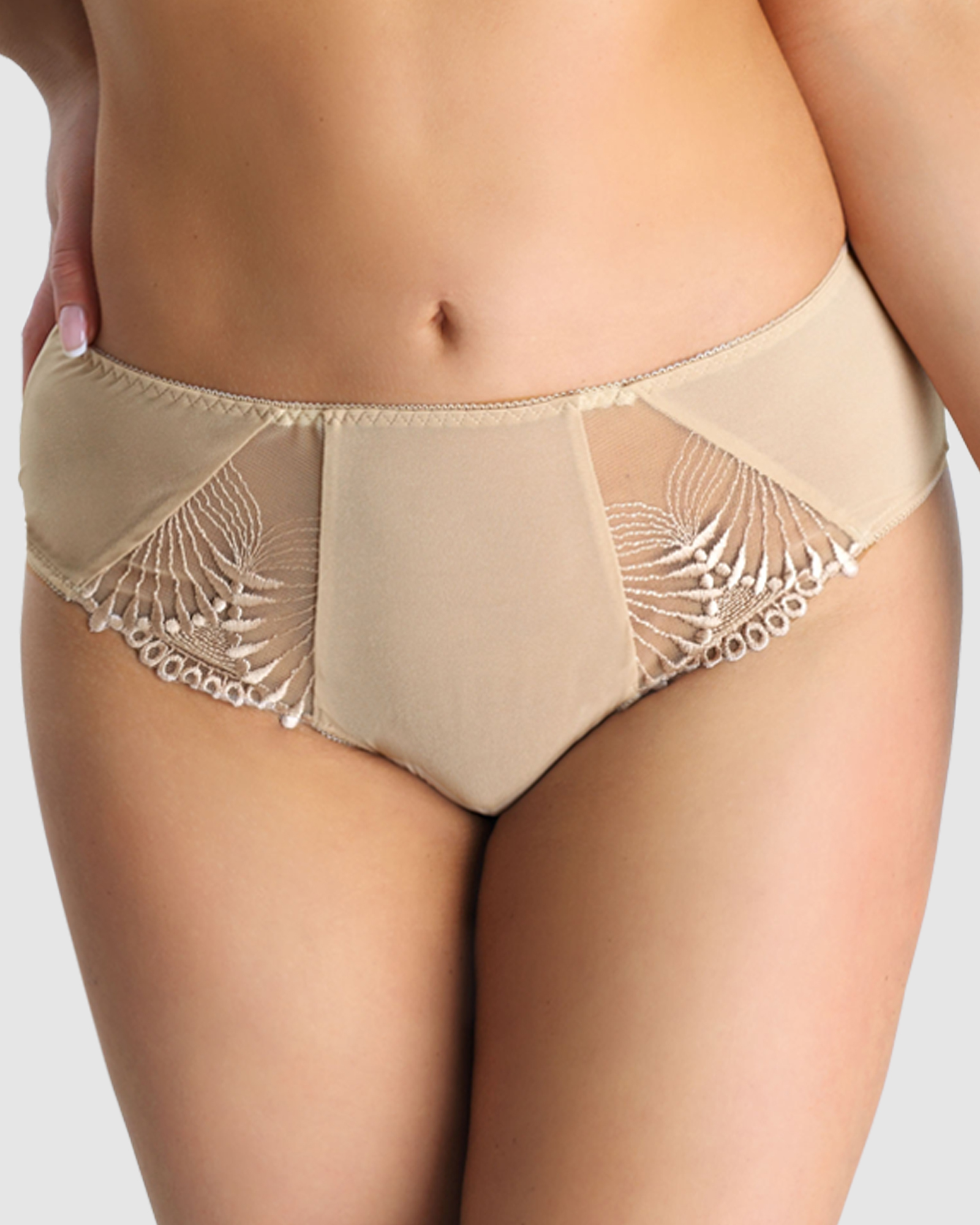 Selena High Waist Full Cut Brief with Embroidery
