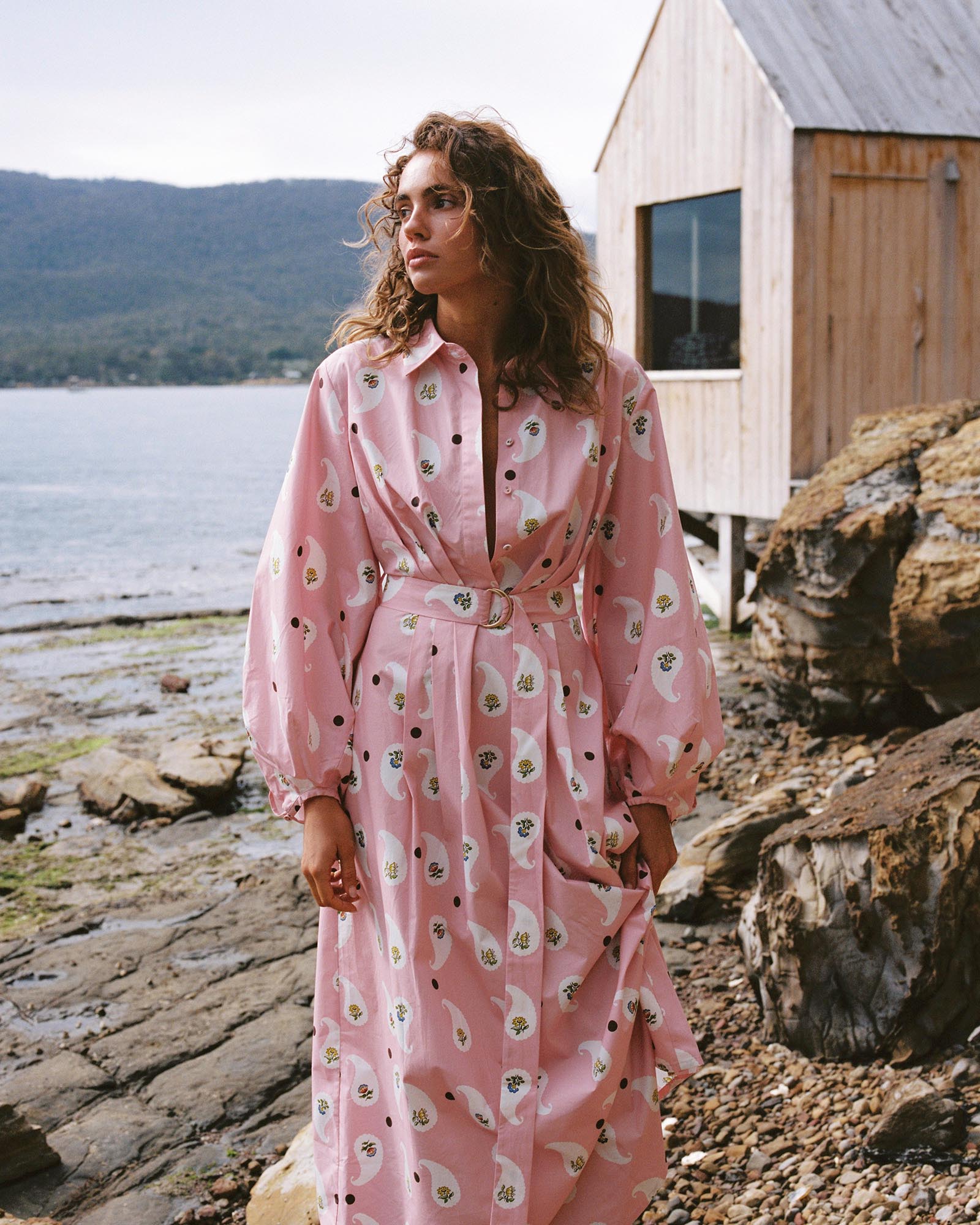 Emily Shirt Dress