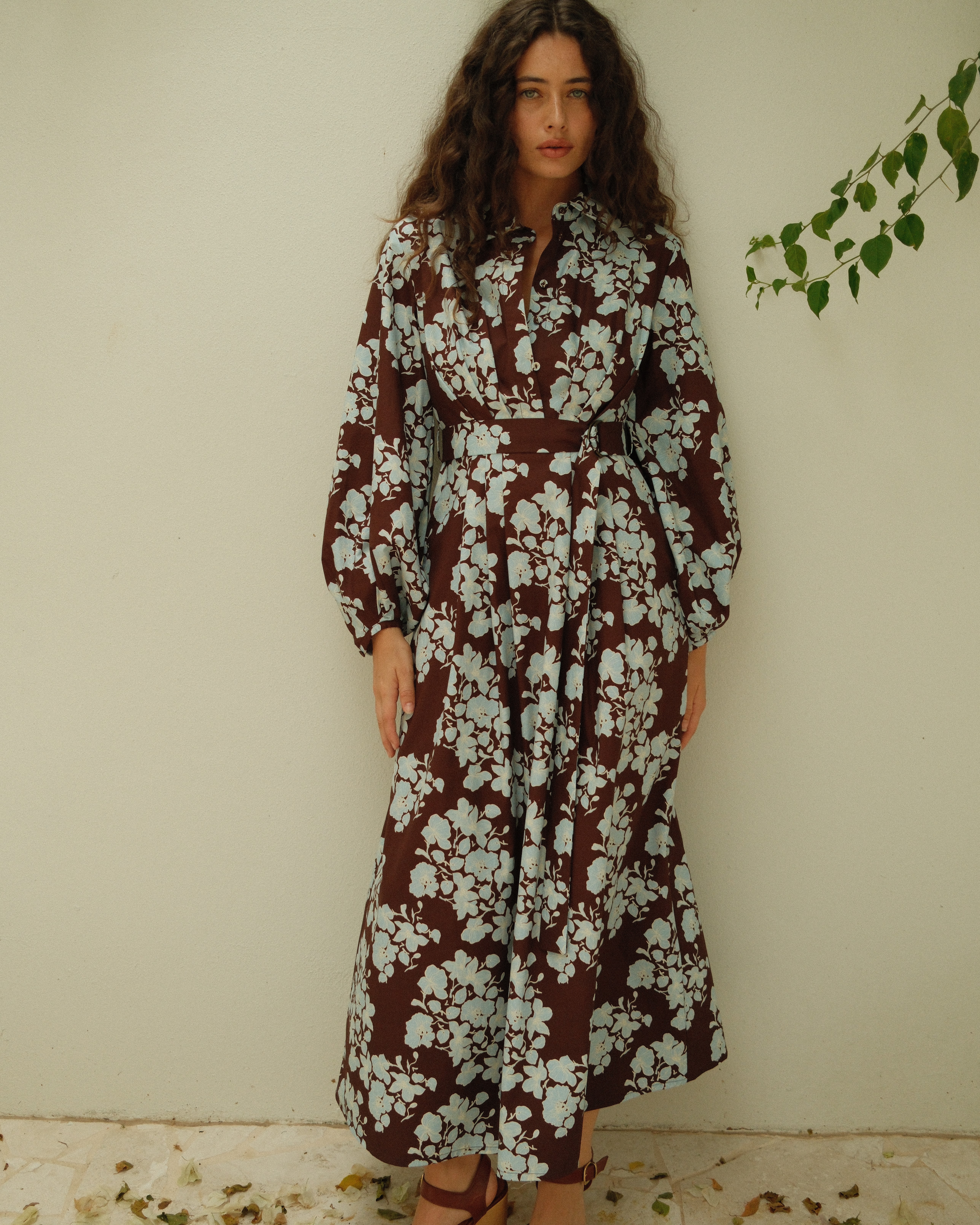 Emily Shirt Dress