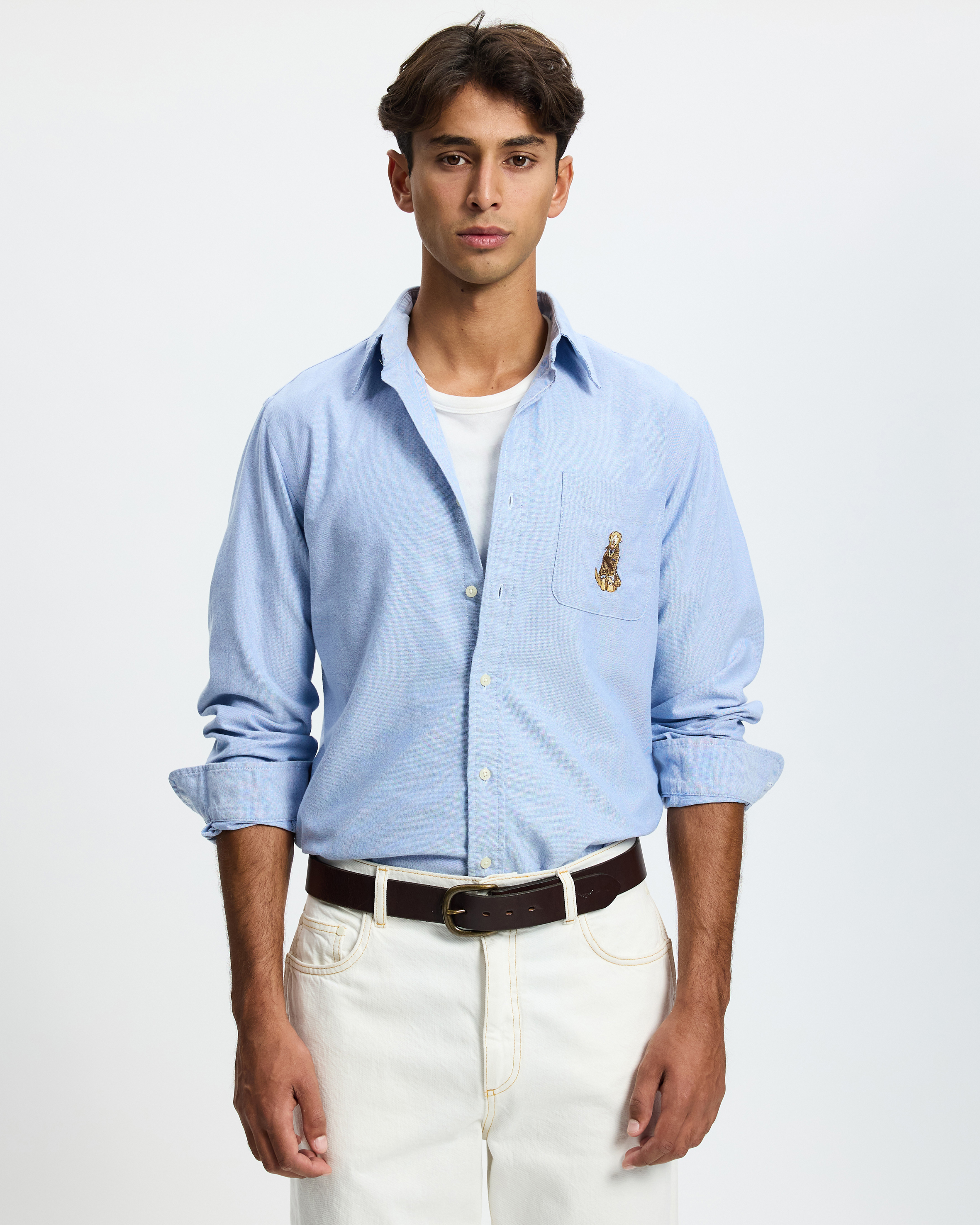 Custom Fit Dog-Embroidered Oxford Shirt