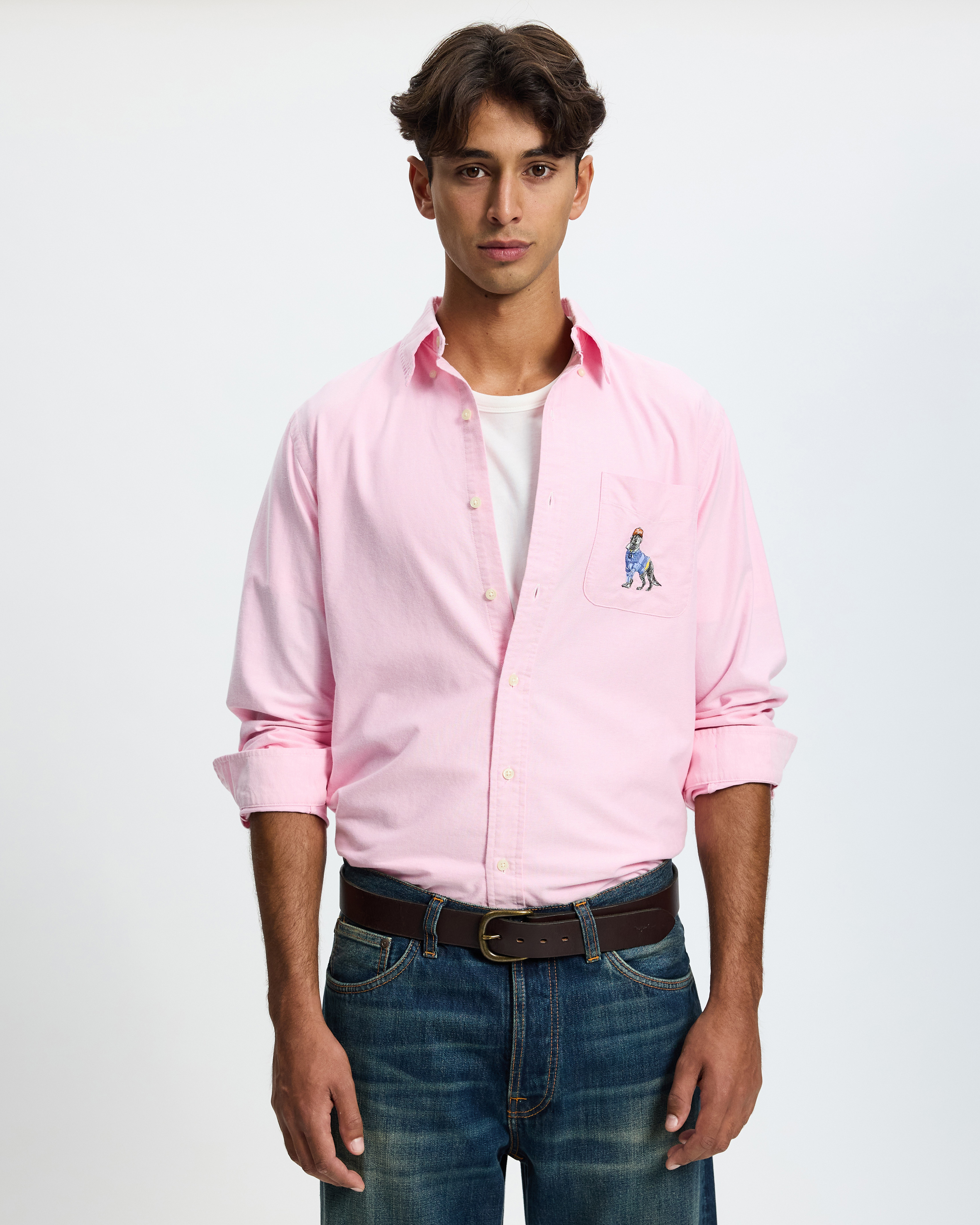 Custom Fit Dog-Embroidered Oxford Shirt