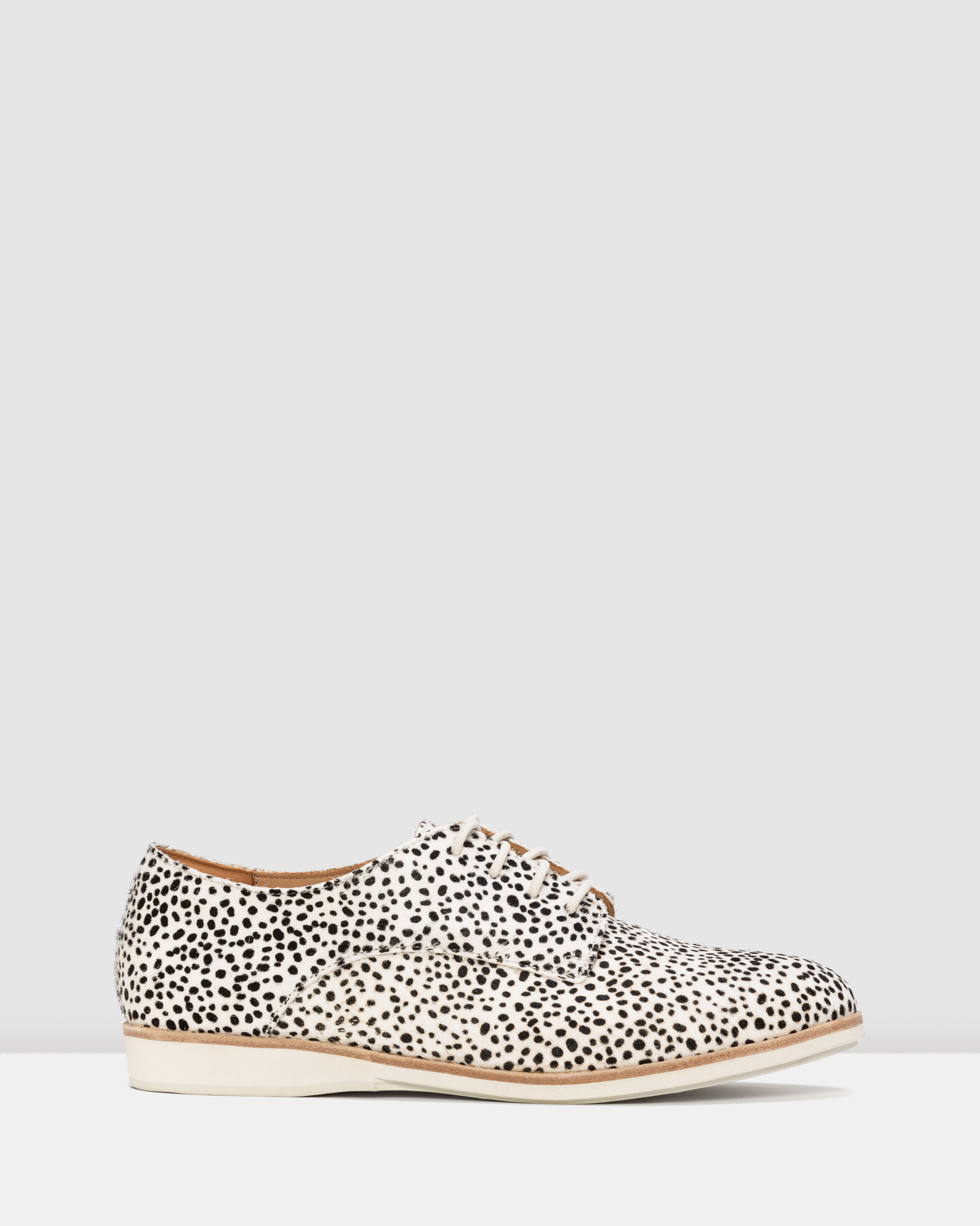 Derby Shoe