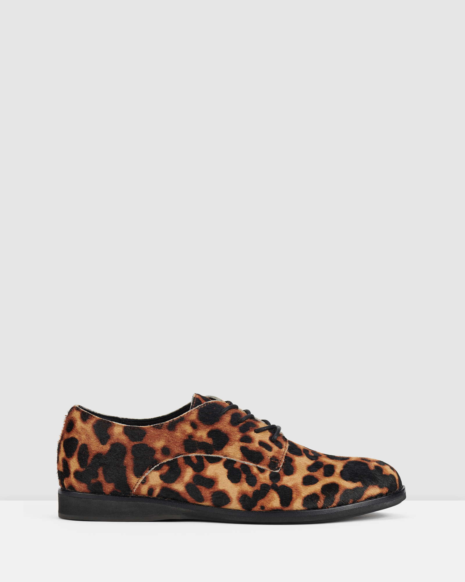 Derby Shoe