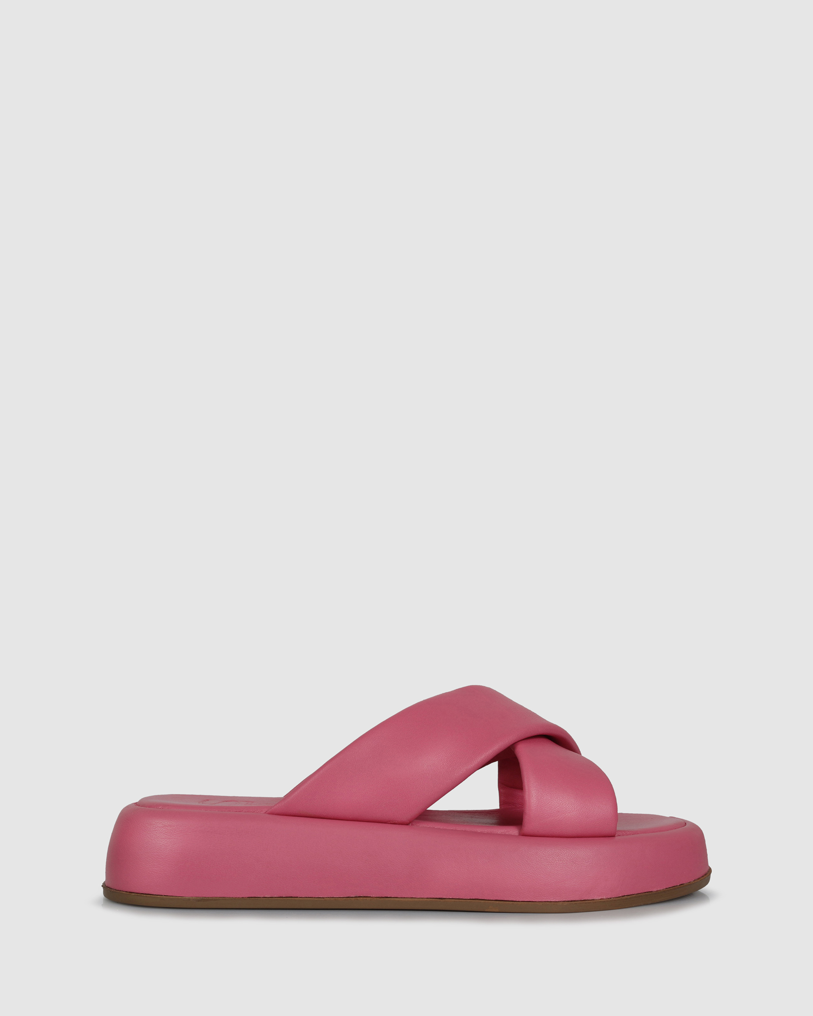 Febe Slides
