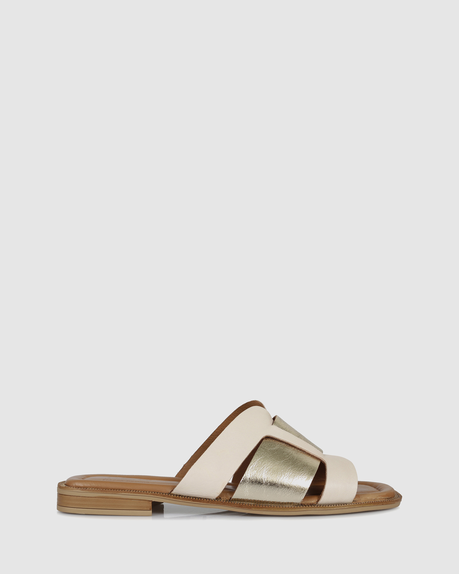 Clyde Slides