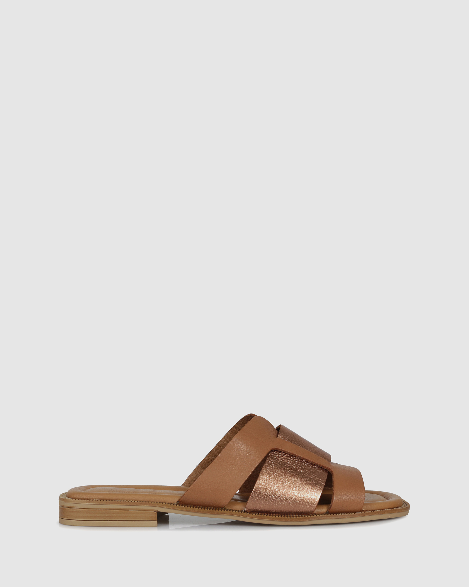 Clyde Slides