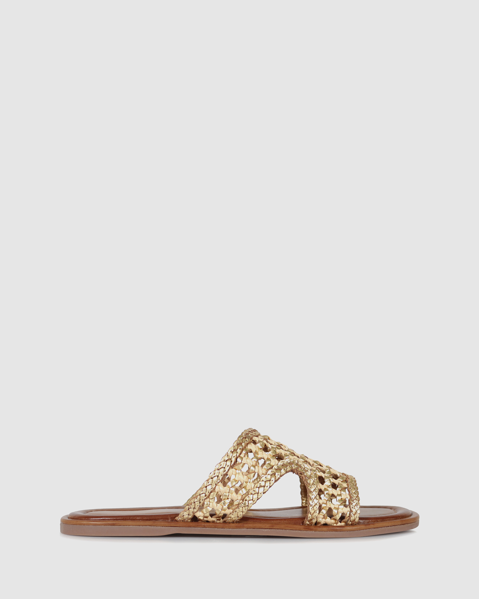 Trigg Slides