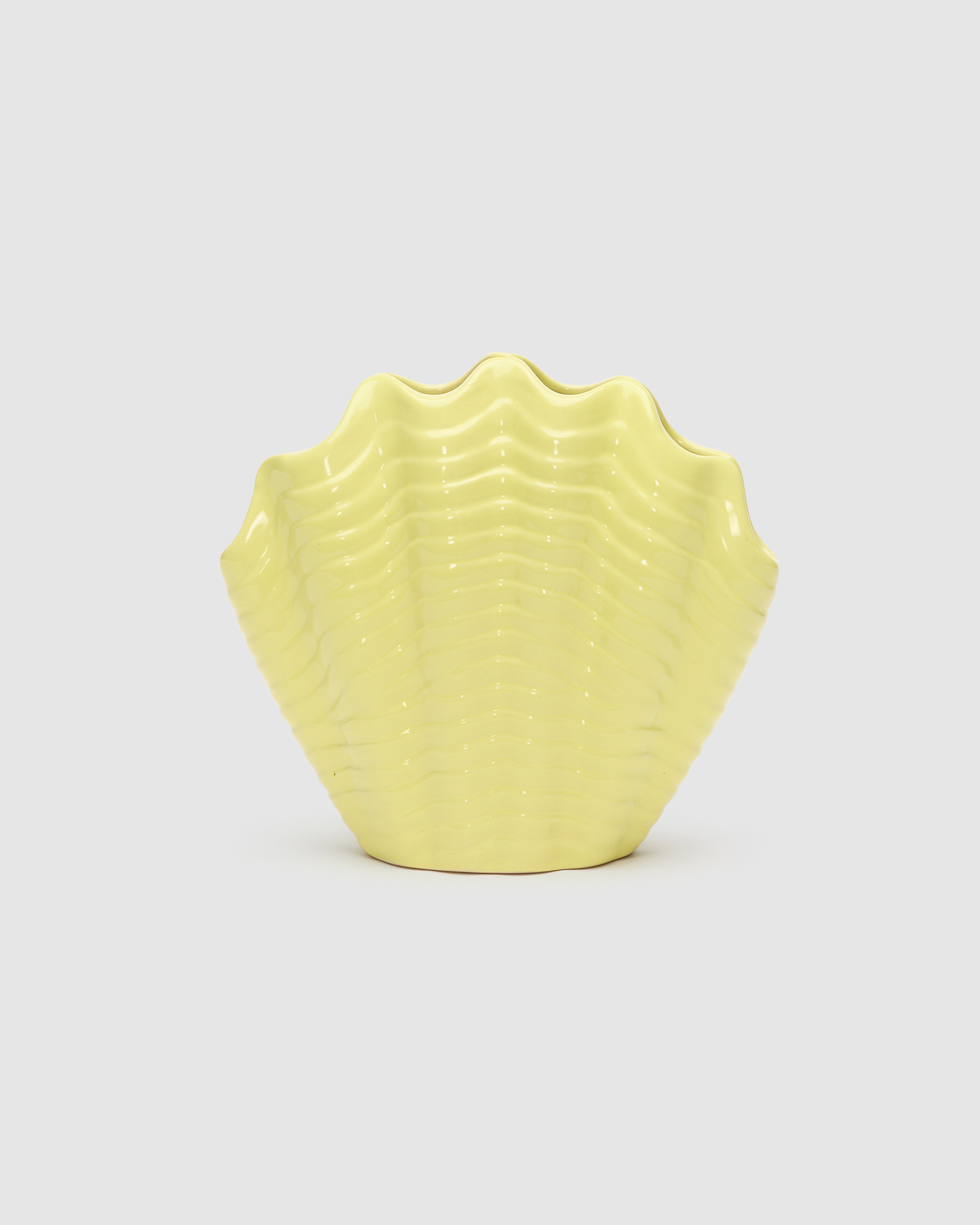 Shell Vase